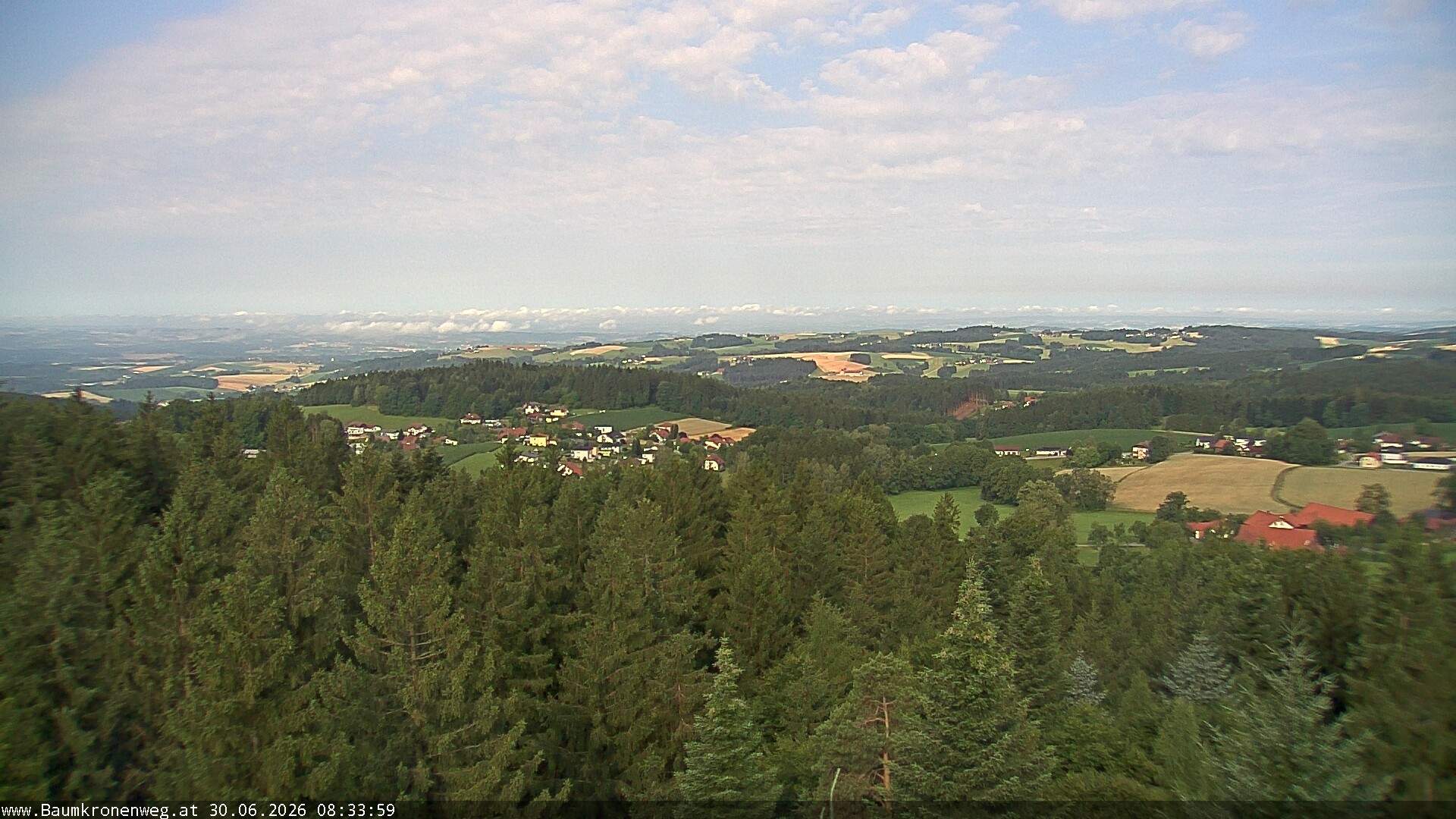 Archiv Foto Webcam Erlebnisturm Baumkronenweg Kopfing