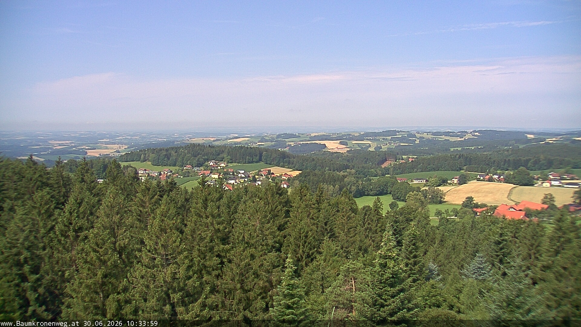 Archiv Foto Webcam Erlebnisturm Baumkronenweg Kopfing