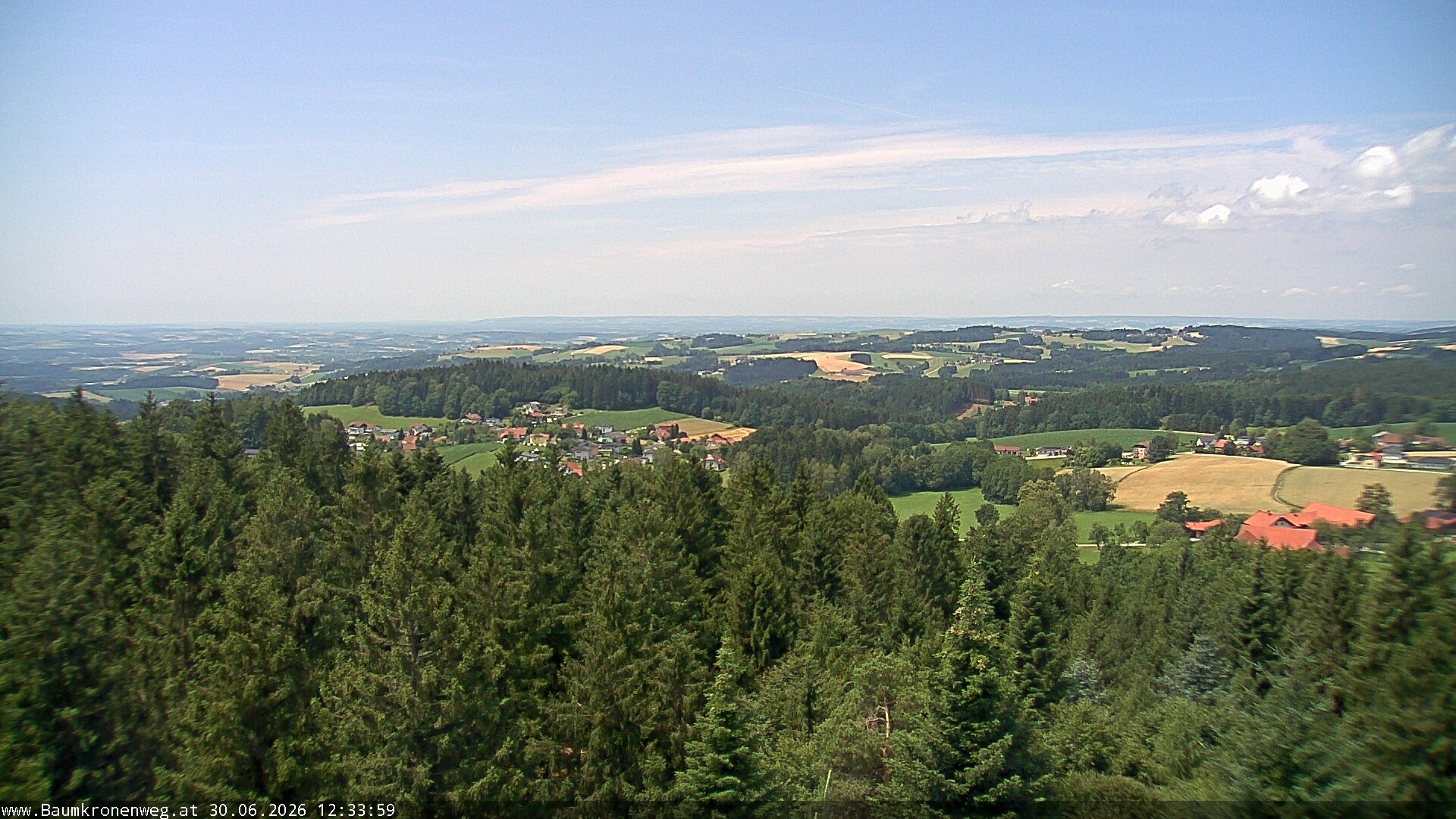 Archiv Foto Webcam Erlebnisturm Baumkronenweg Kopfing