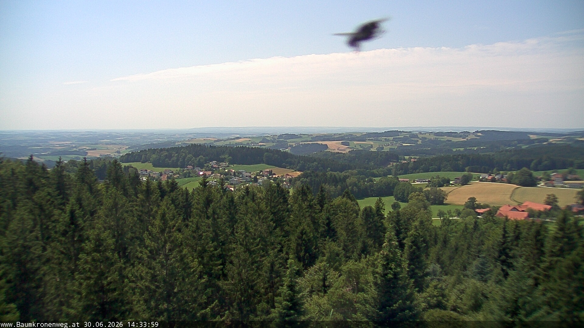 Archiv Foto Webcam Erlebnisturm Baumkronenweg Kopfing