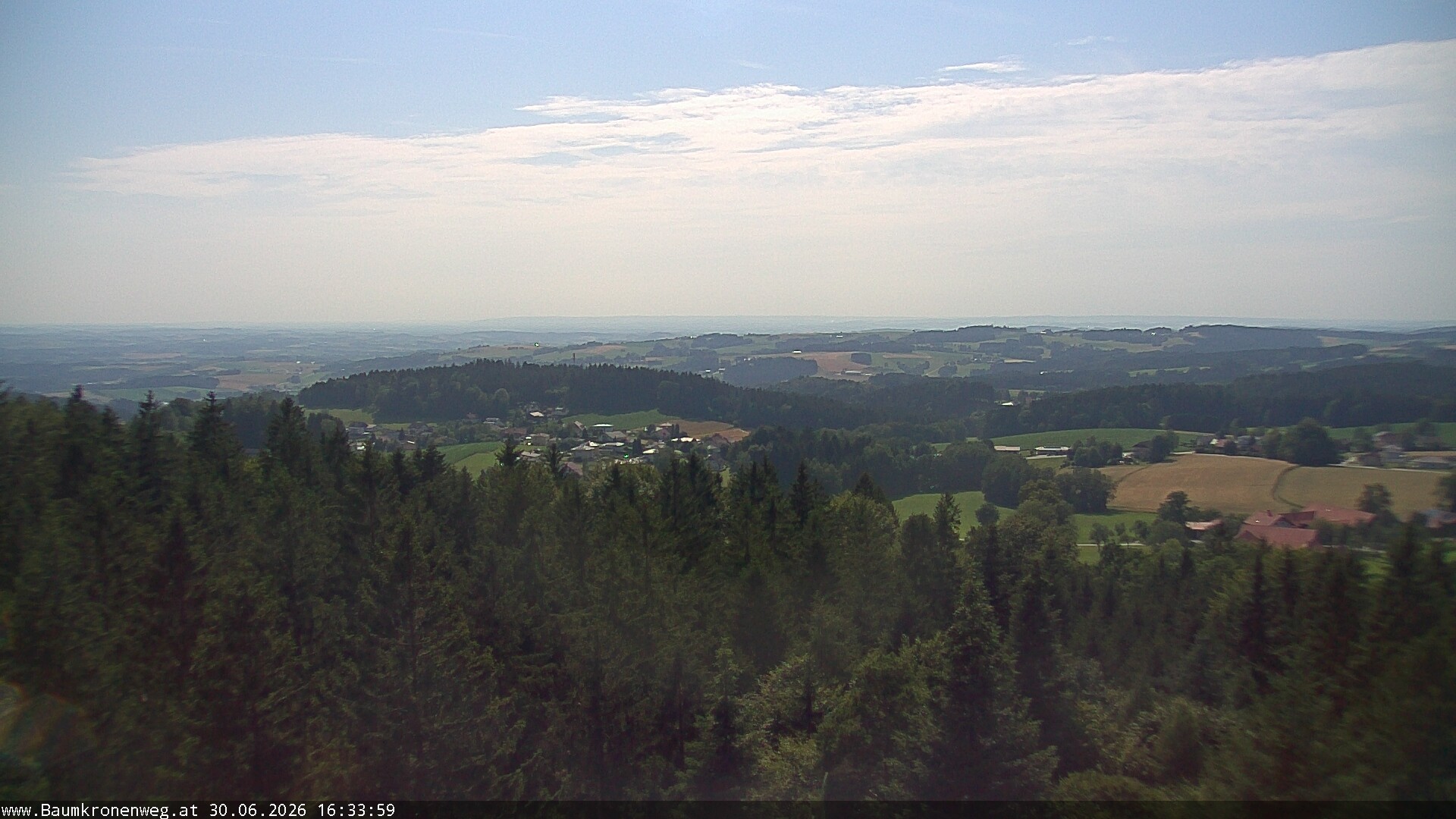 Archiv Foto Webcam Erlebnisturm Baumkronenweg Kopfing