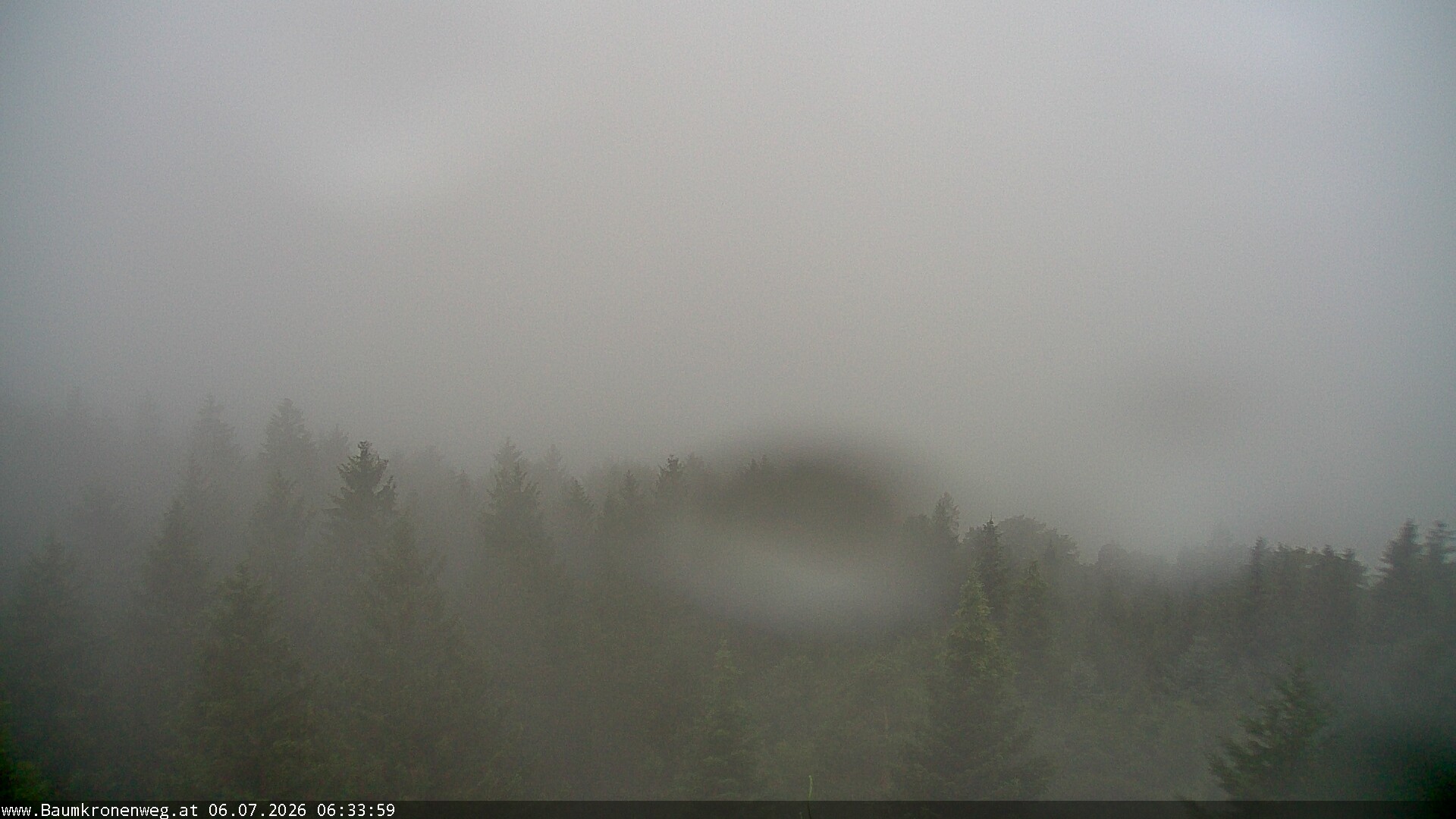 Archiv Foto Webcam Erlebnisturm Baumkronenweg Kopfing