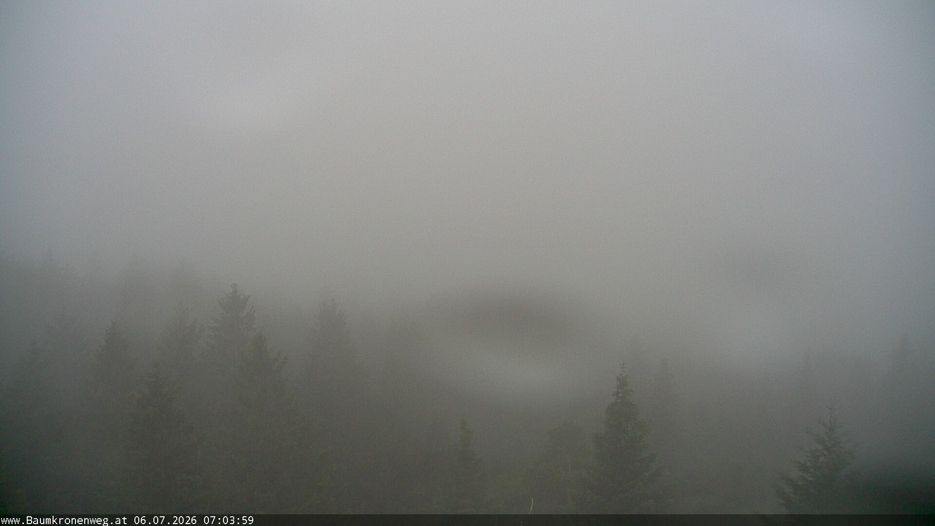 Archiv Foto Webcam Erlebnisturm Baumkronenweg Kopfing