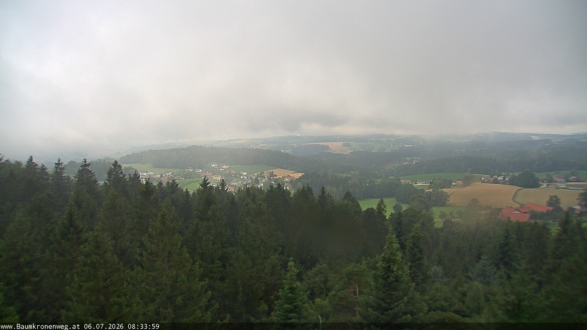 Archiv Foto Webcam Erlebnisturm Baumkronenweg Kopfing