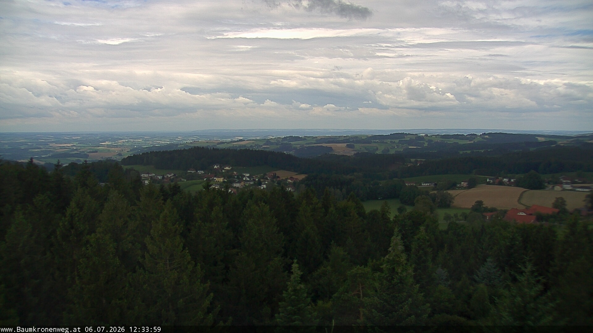 Archiv Foto Webcam Erlebnisturm Baumkronenweg Kopfing