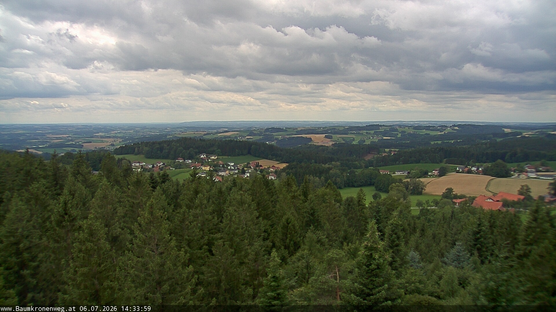 Archiv Foto Webcam Erlebnisturm Baumkronenweg Kopfing
