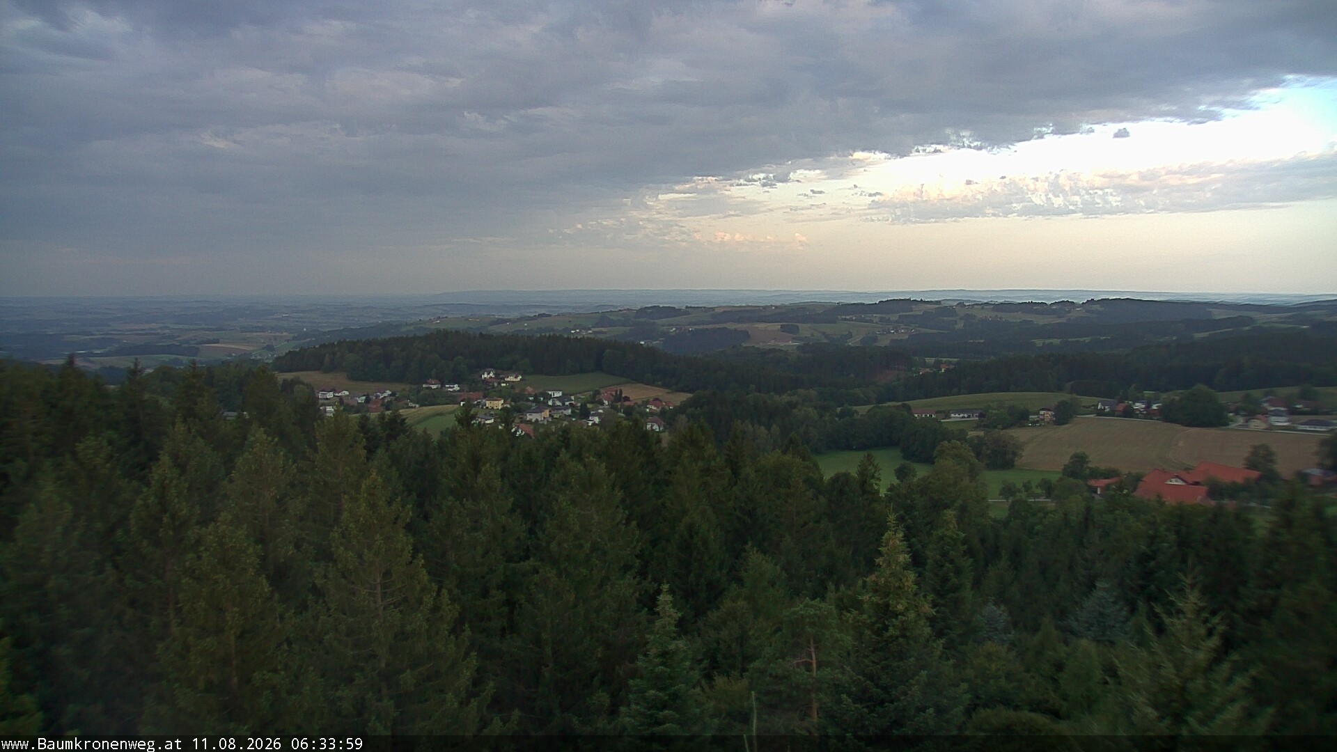 Archiv Foto Webcam Erlebnisturm Baumkronenweg Kopfing