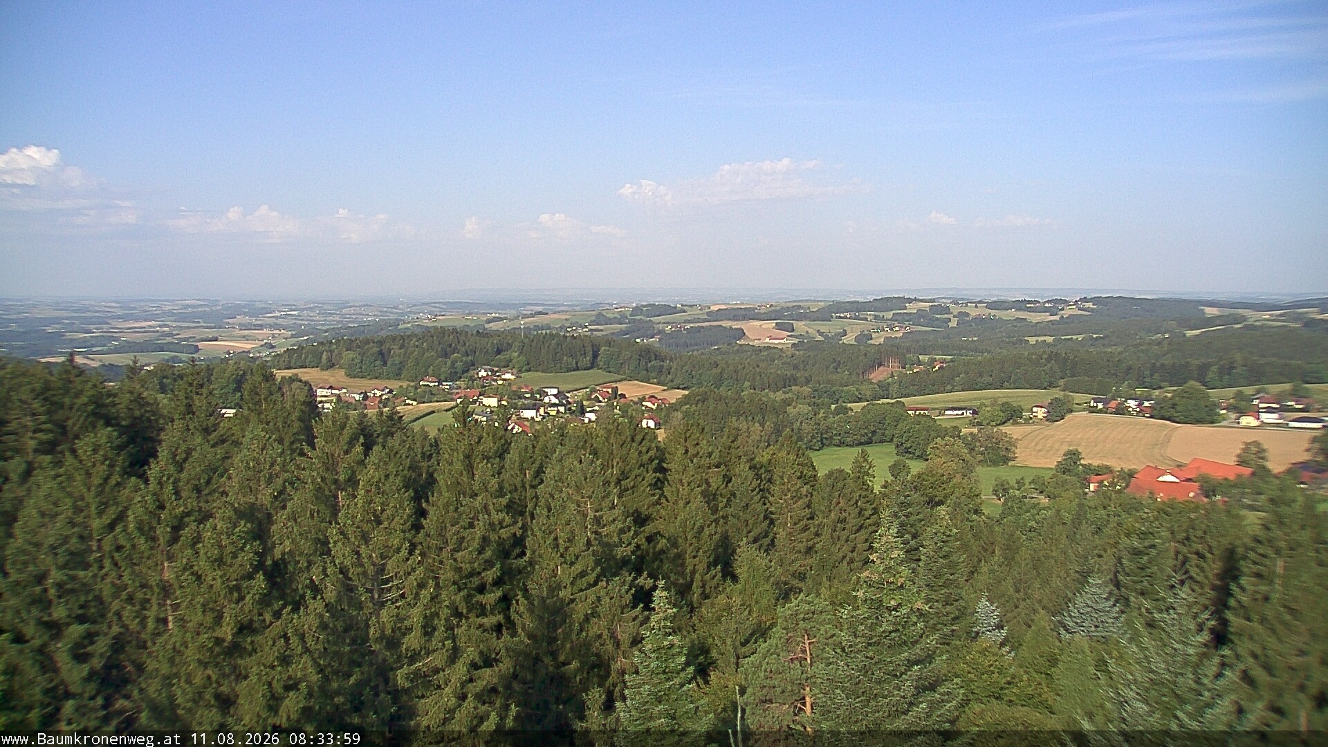 Archiv Foto Webcam Erlebnisturm Baumkronenweg Kopfing