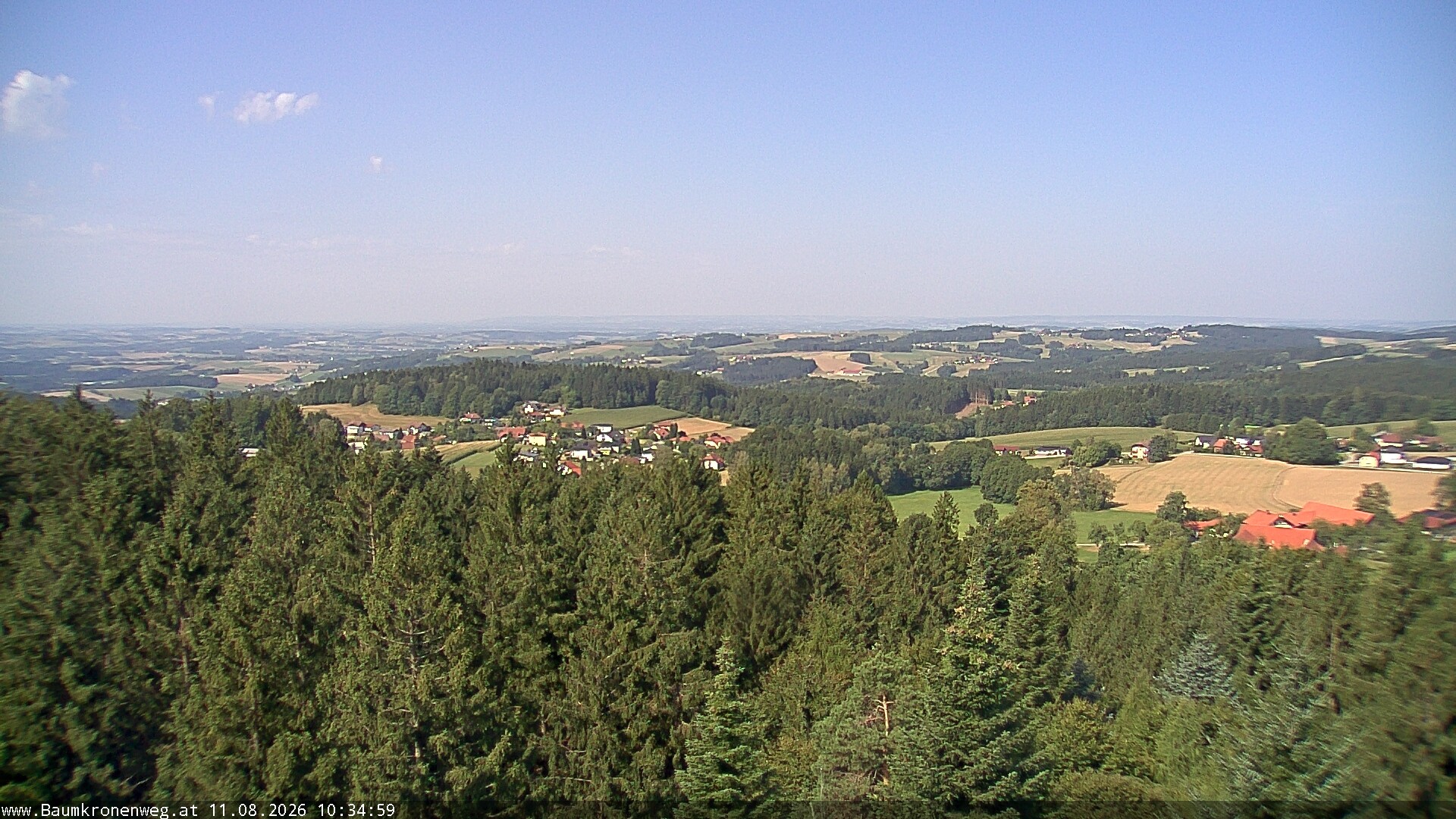 Archiv Foto Webcam Erlebnisturm Baumkronenweg Kopfing