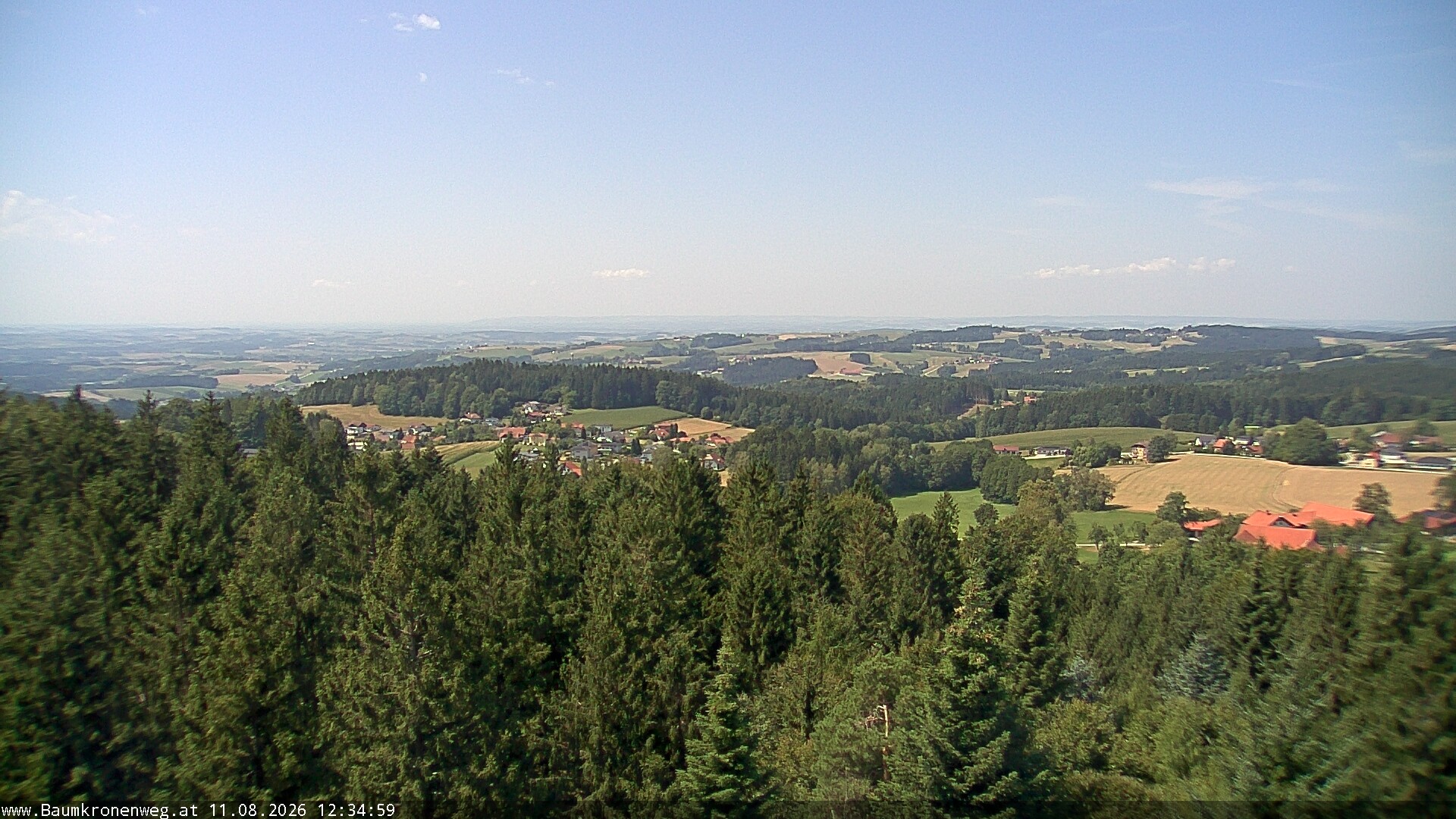 Archiv Foto Webcam Erlebnisturm Baumkronenweg Kopfing