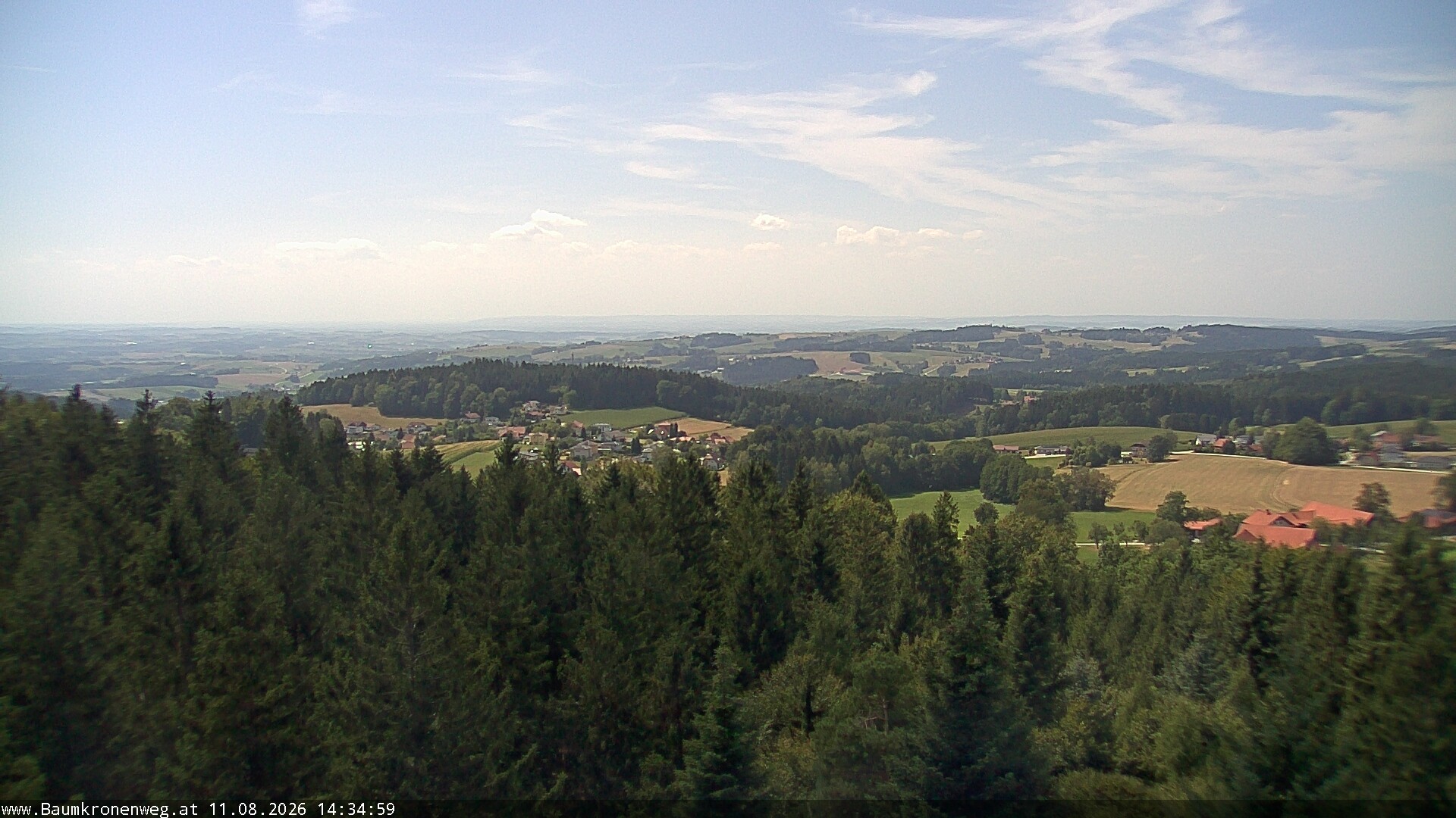 Archiv Foto Webcam Erlebnisturm Baumkronenweg Kopfing