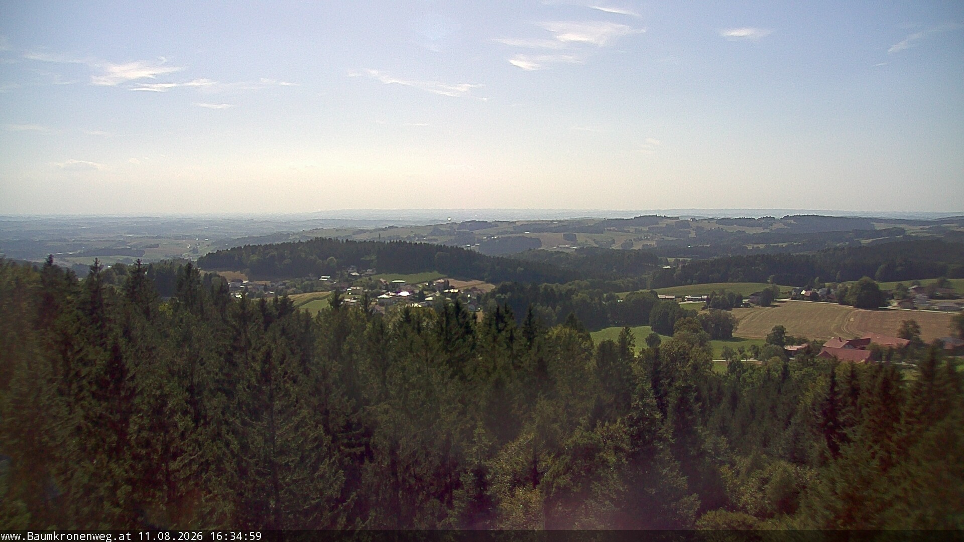 Archiv Foto Webcam Erlebnisturm Baumkronenweg Kopfing