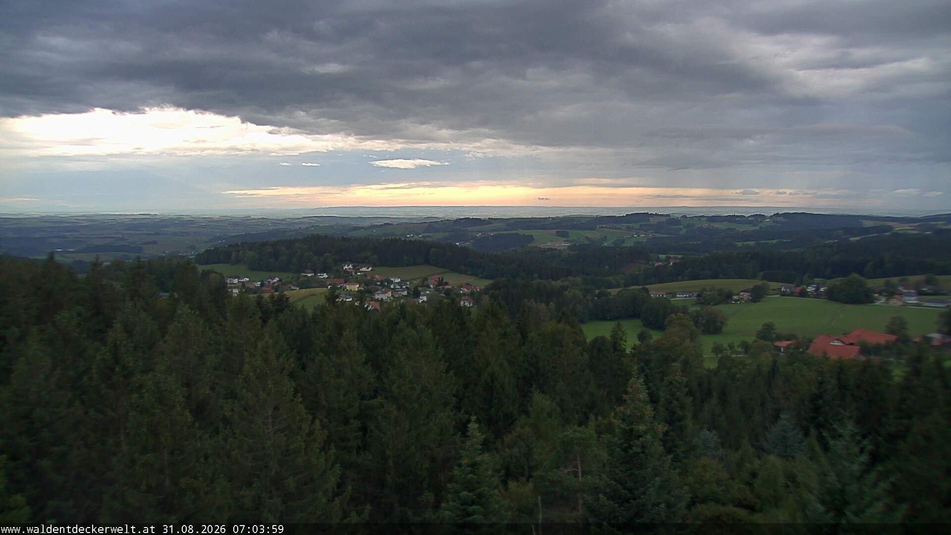 Archiv Foto Webcam Erlebnisturm Baumkronenweg Kopfing