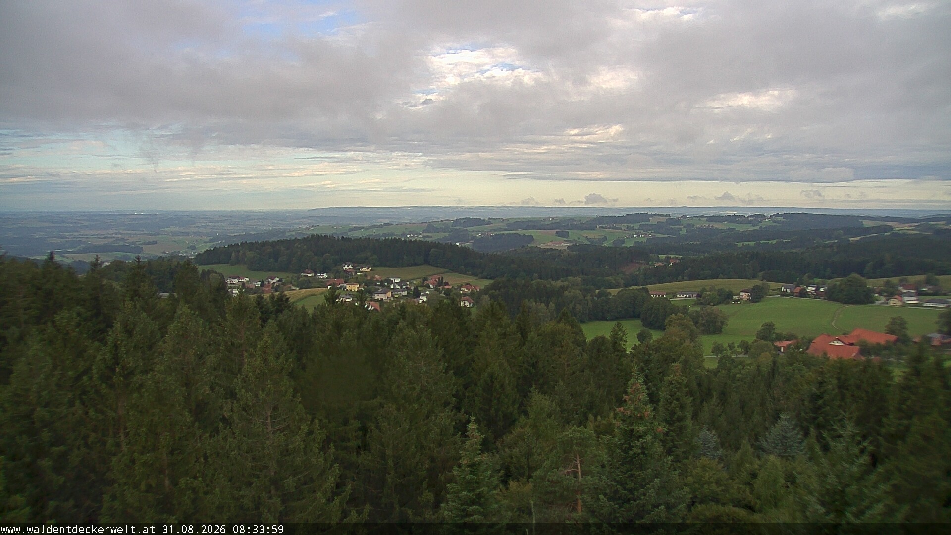 Archiv Foto Webcam Erlebnisturm Baumkronenweg Kopfing