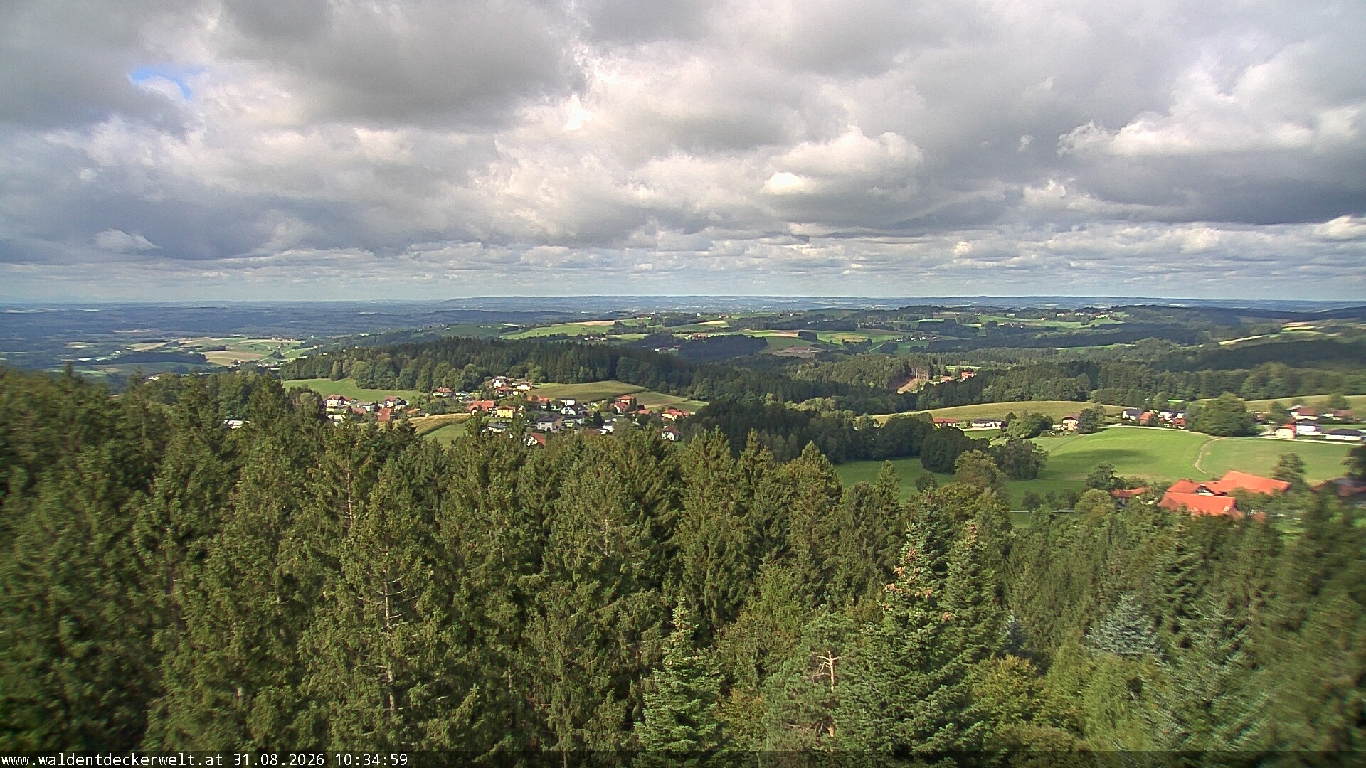 Archiv Foto Webcam Erlebnisturm Baumkronenweg Kopfing