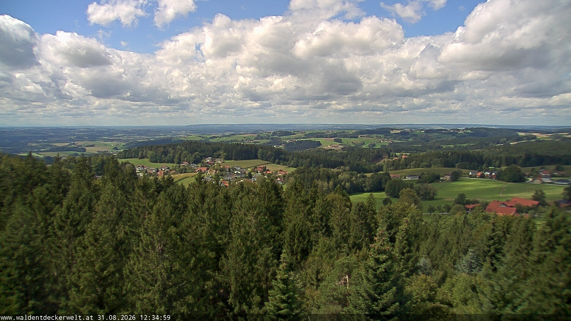 Archiv Foto Webcam Erlebnisturm Baumkronenweg Kopfing