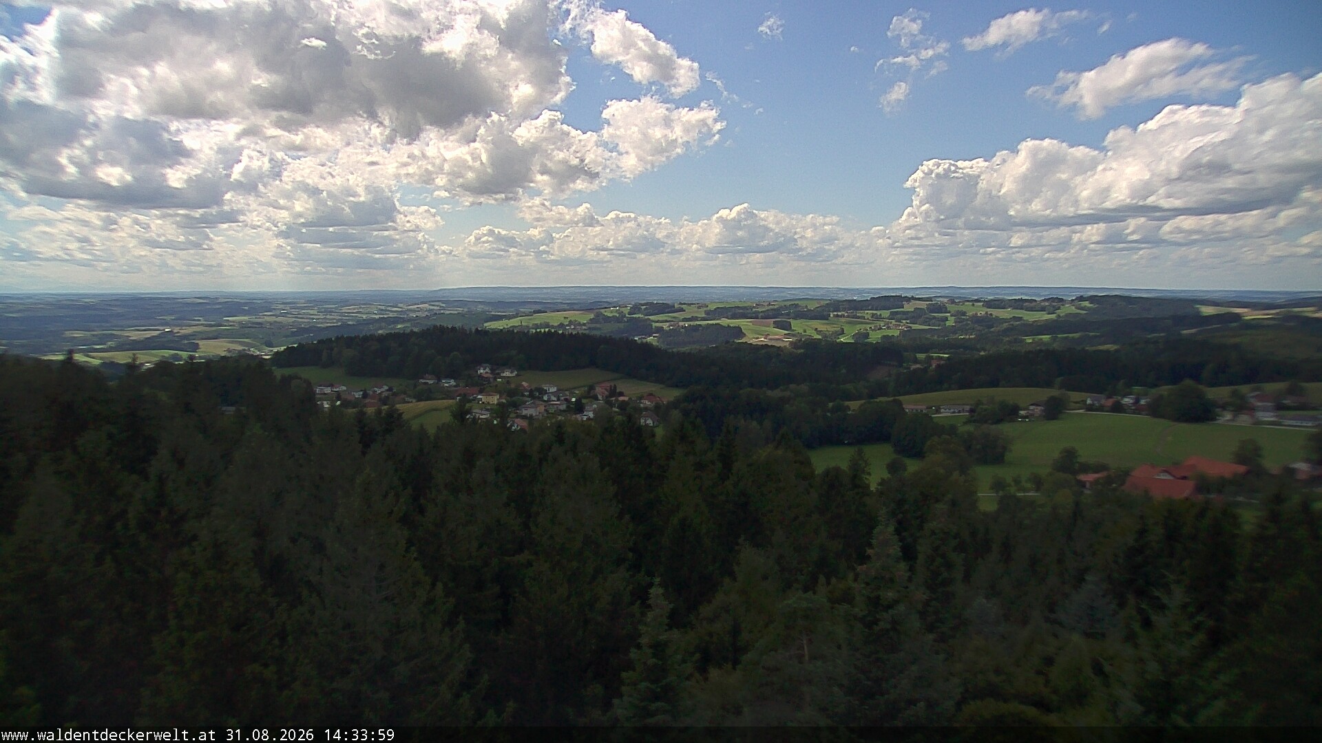 Archiv Foto Webcam Erlebnisturm Baumkronenweg Kopfing