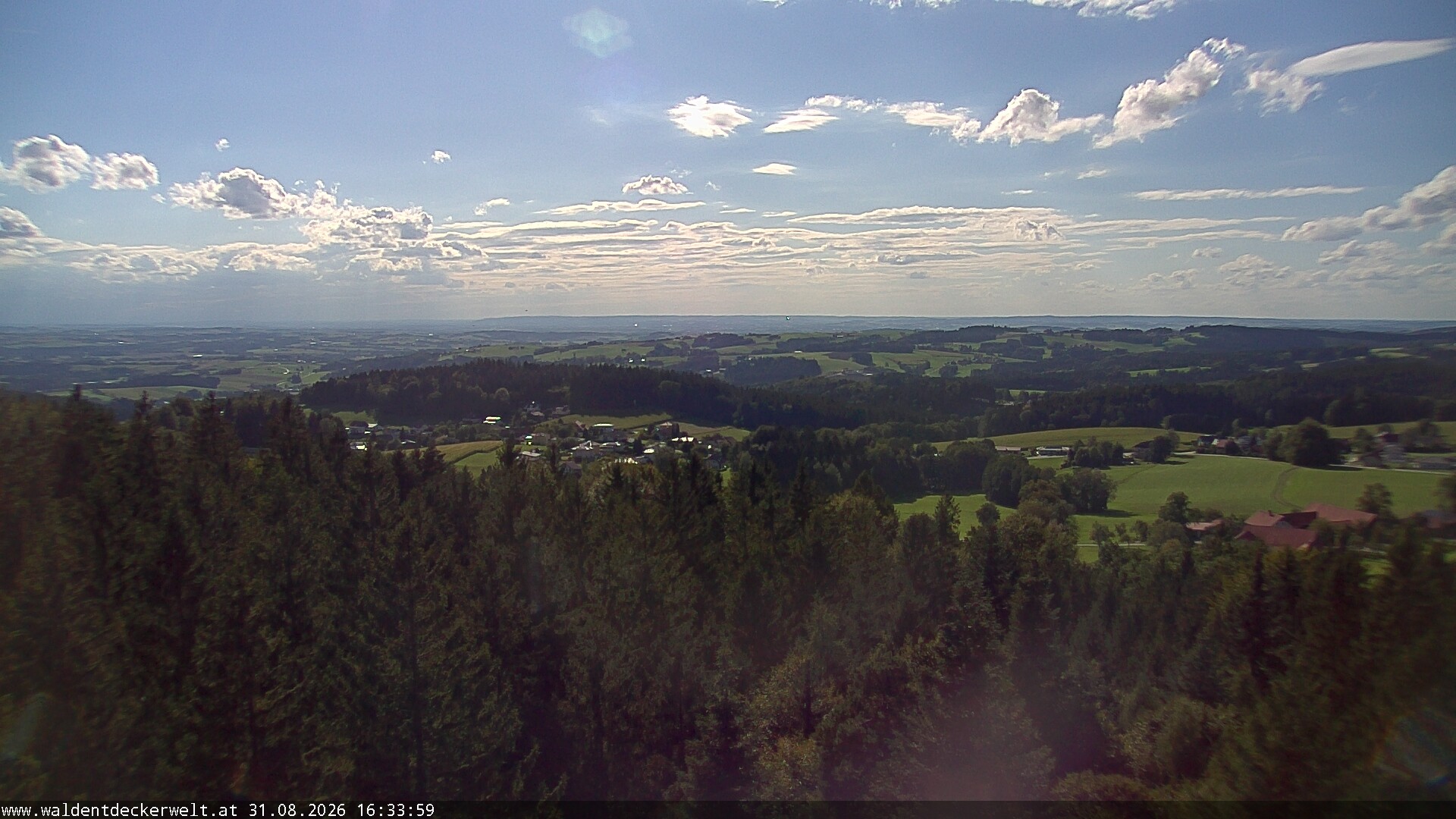 Archiv Foto Webcam Erlebnisturm Baumkronenweg Kopfing