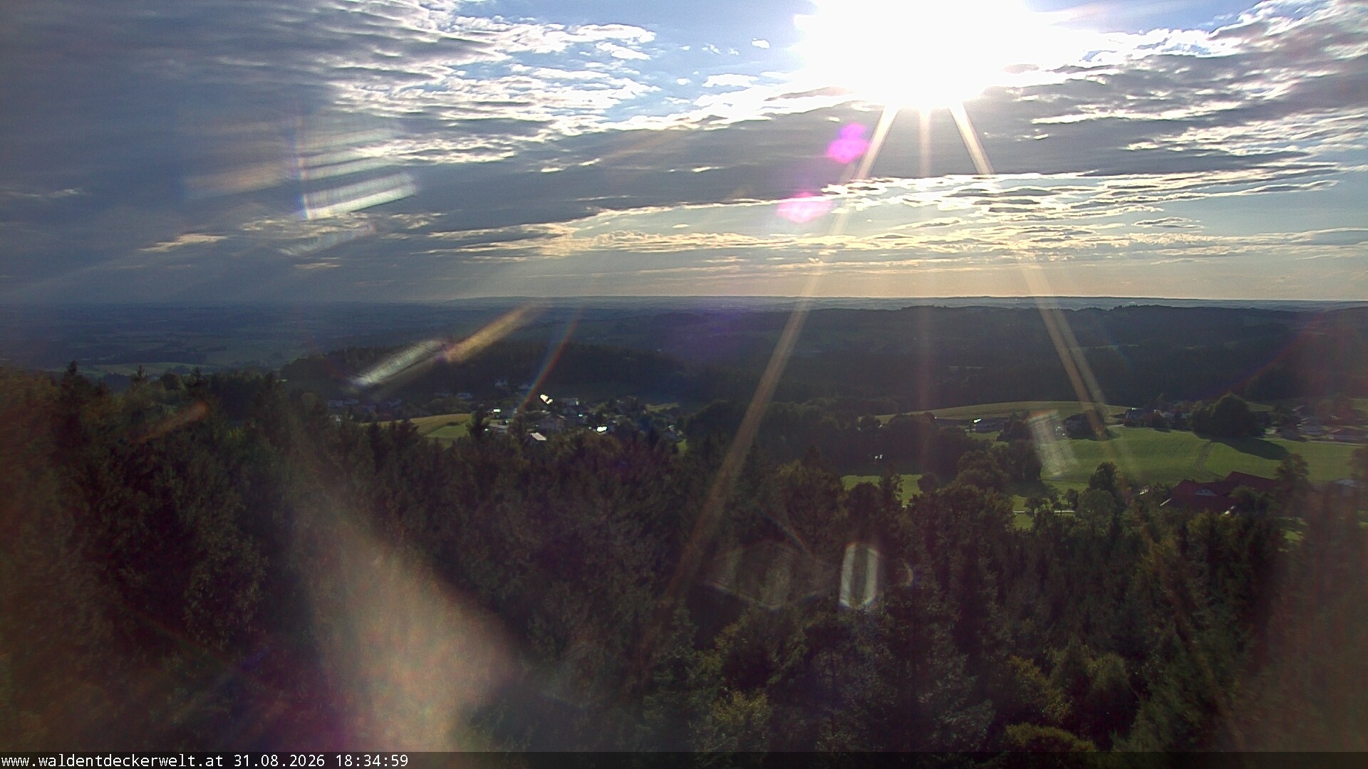 Archiv Foto Webcam Erlebnisturm Baumkronenweg Kopfing