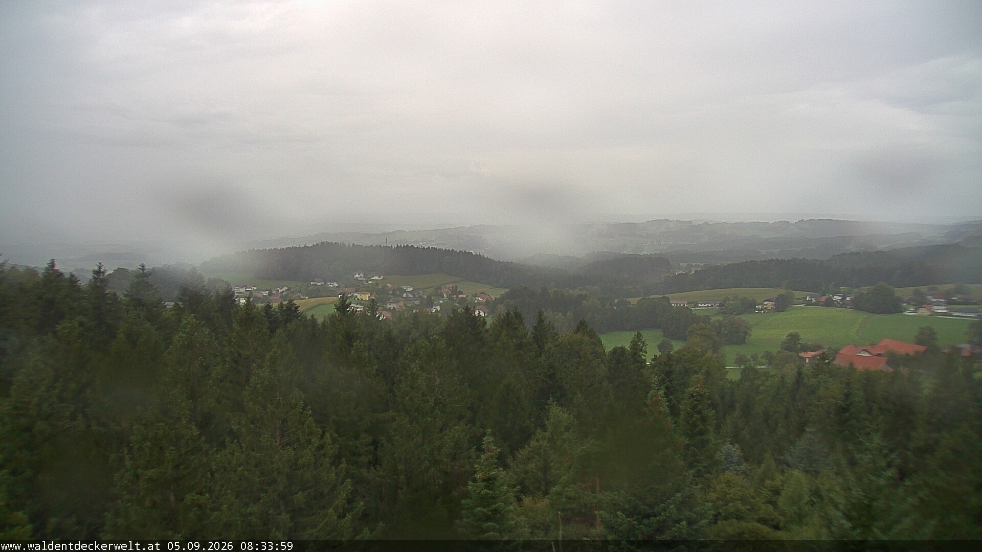 Archiv Foto Webcam Erlebnisturm Baumkronenweg Kopfing