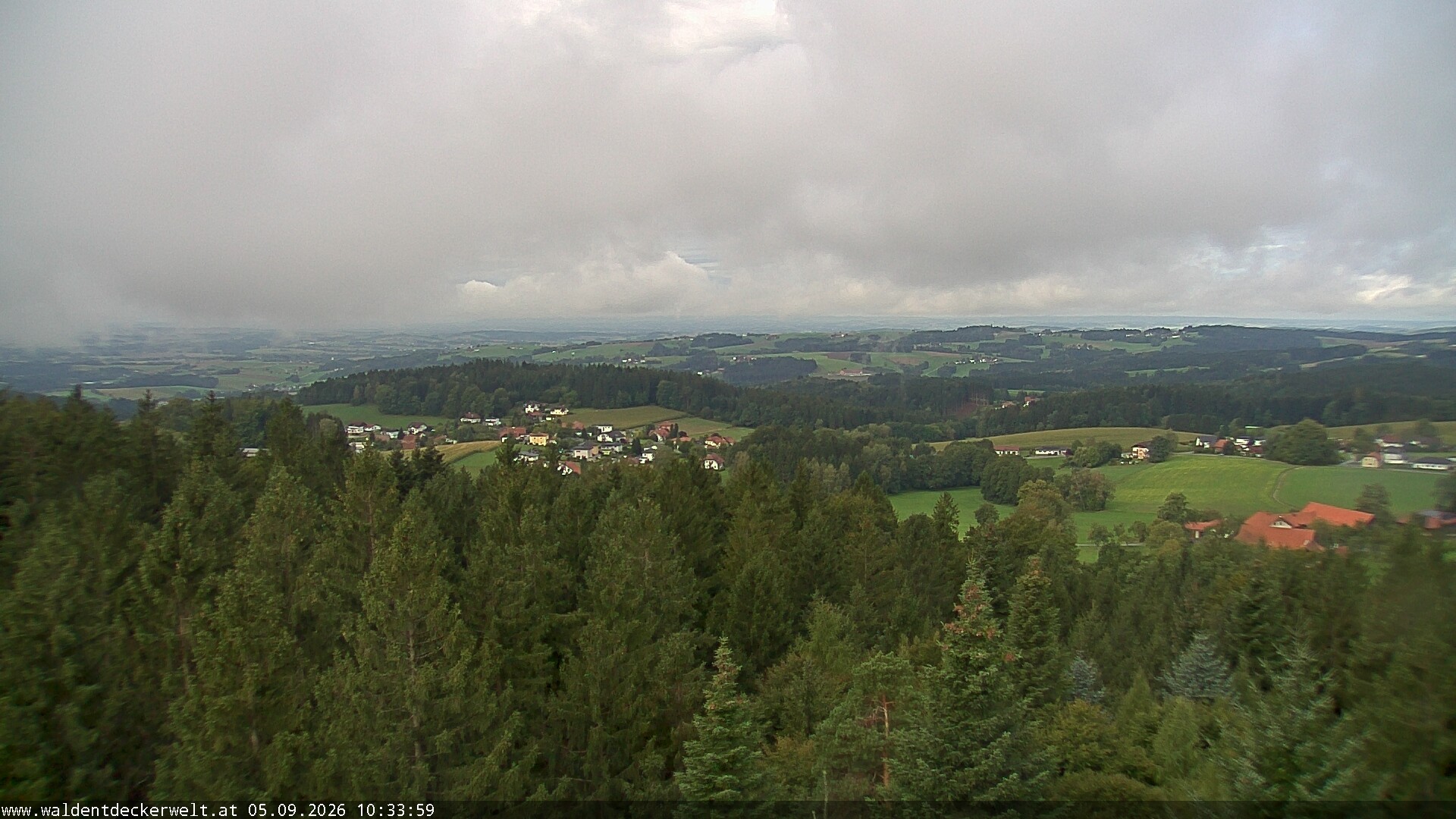 Archiv Foto Webcam Erlebnisturm Baumkronenweg Kopfing