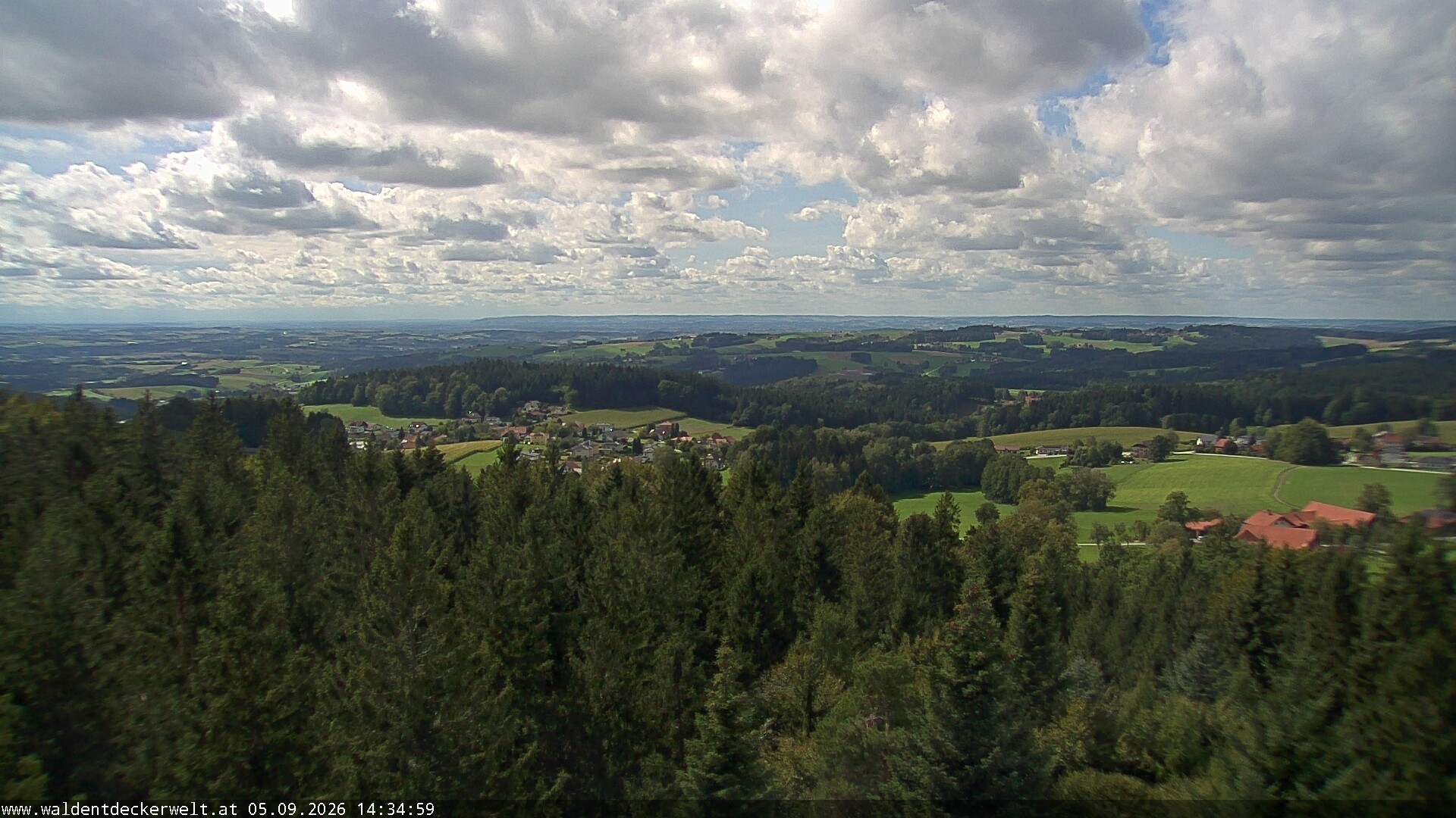Archiv Foto Webcam Erlebnisturm Baumkronenweg Kopfing