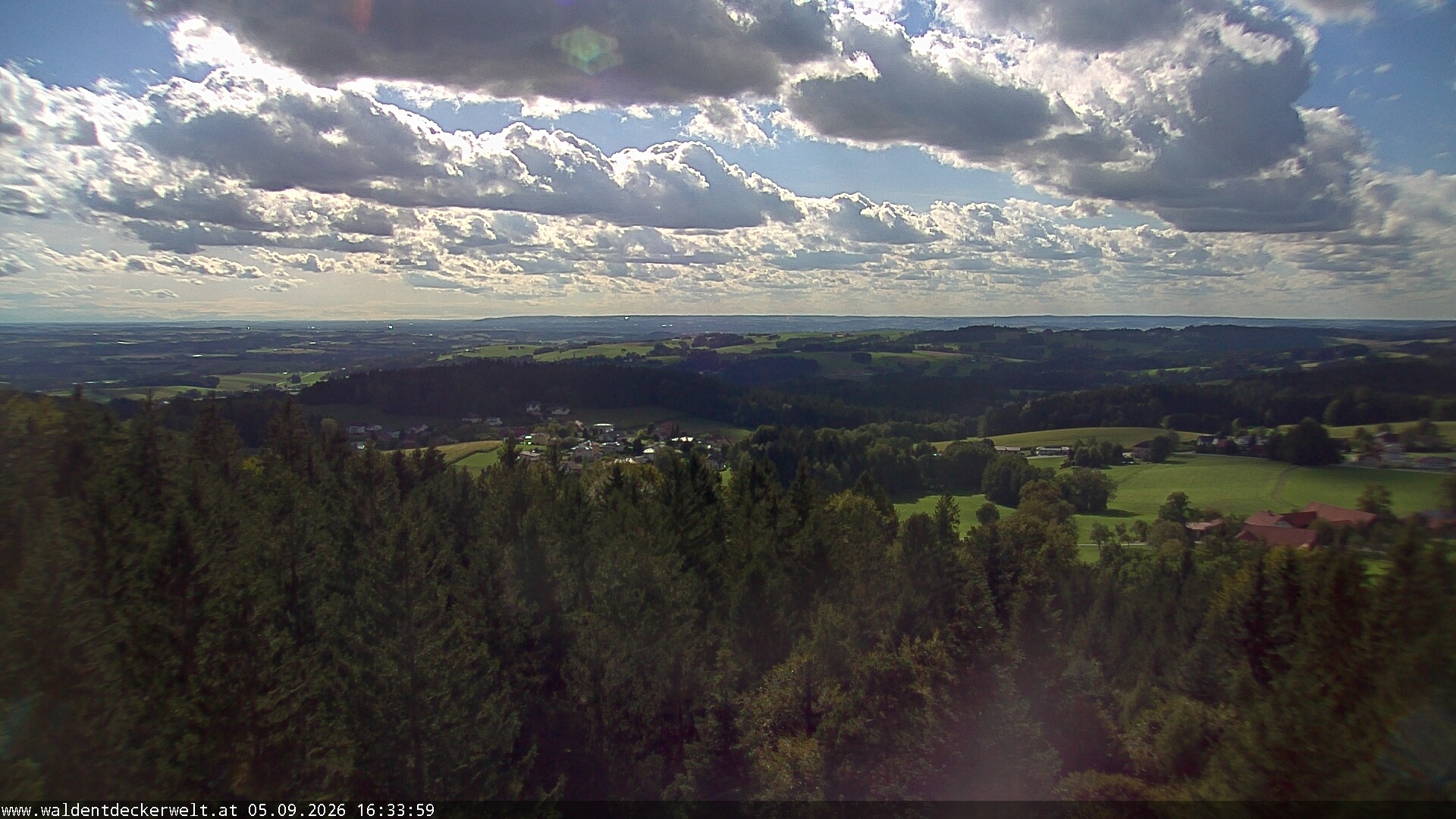 Archiv Foto Webcam Erlebnisturm Baumkronenweg Kopfing