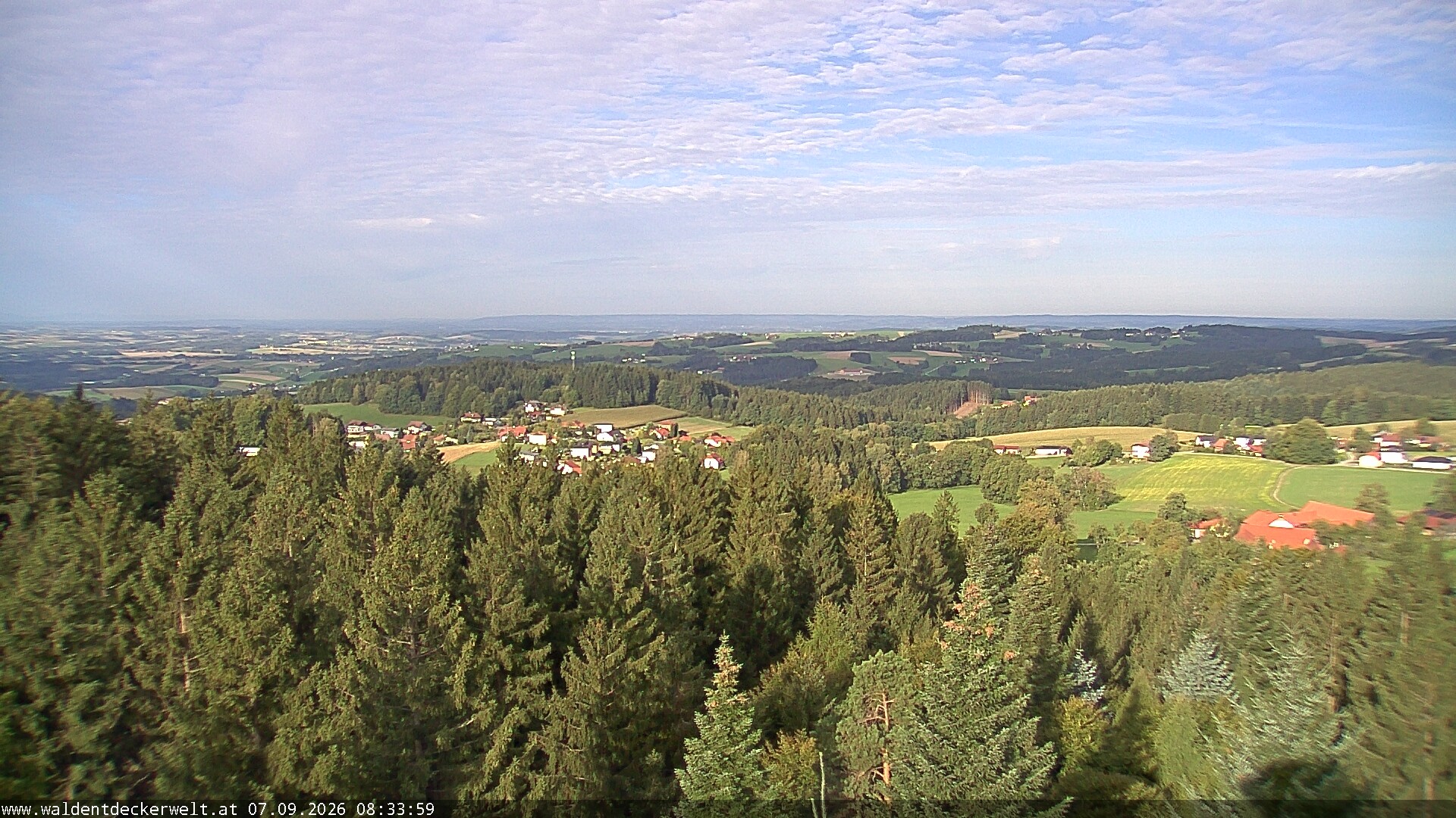Archiv Foto Webcam Erlebnisturm Baumkronenweg Kopfing