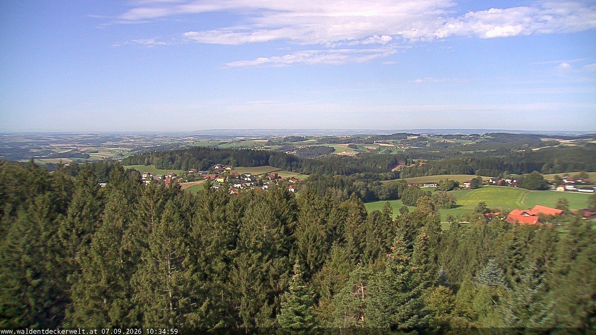 Archiv Foto Webcam Erlebnisturm Baumkronenweg Kopfing