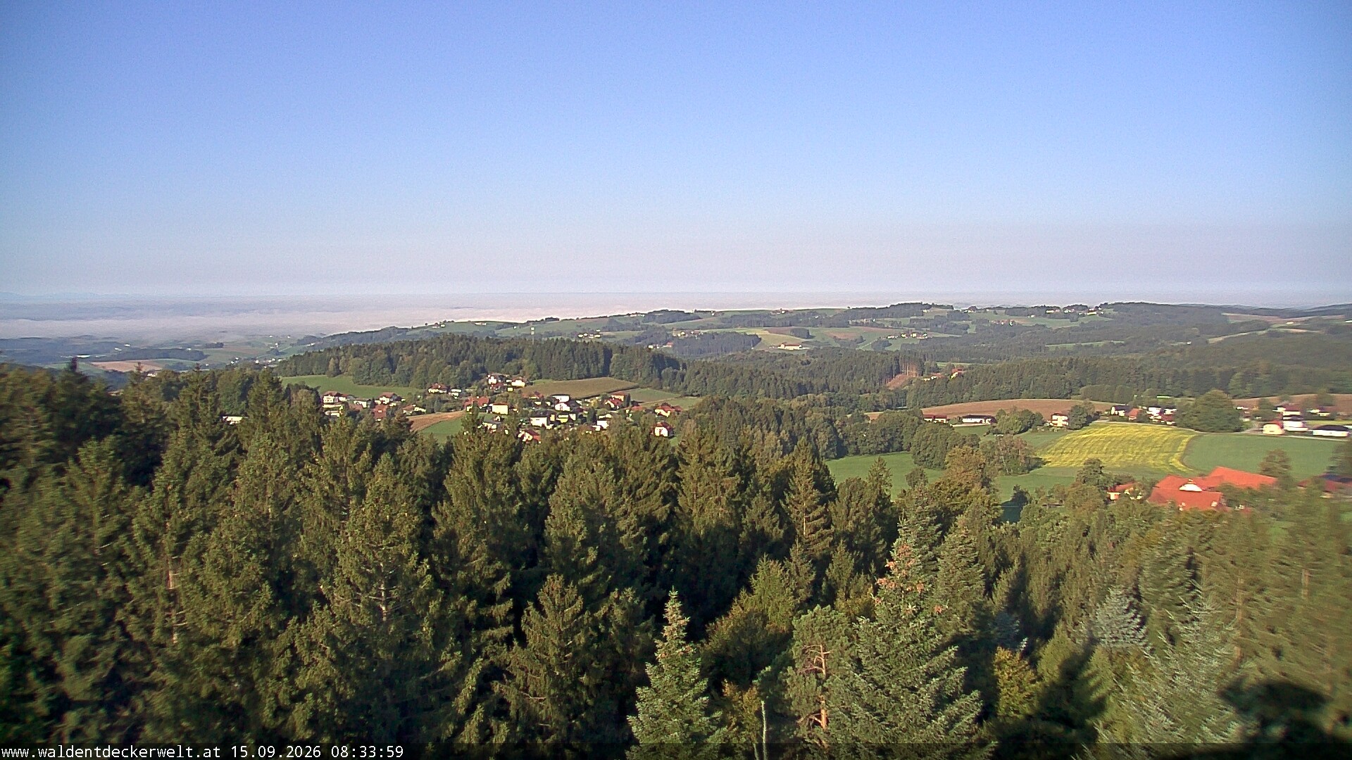 Archiv Foto Webcam Erlebnisturm Baumkronenweg Kopfing