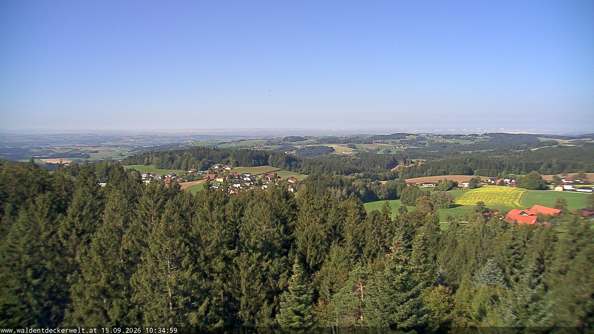 Archiv Foto Webcam Erlebnisturm Baumkronenweg Kopfing