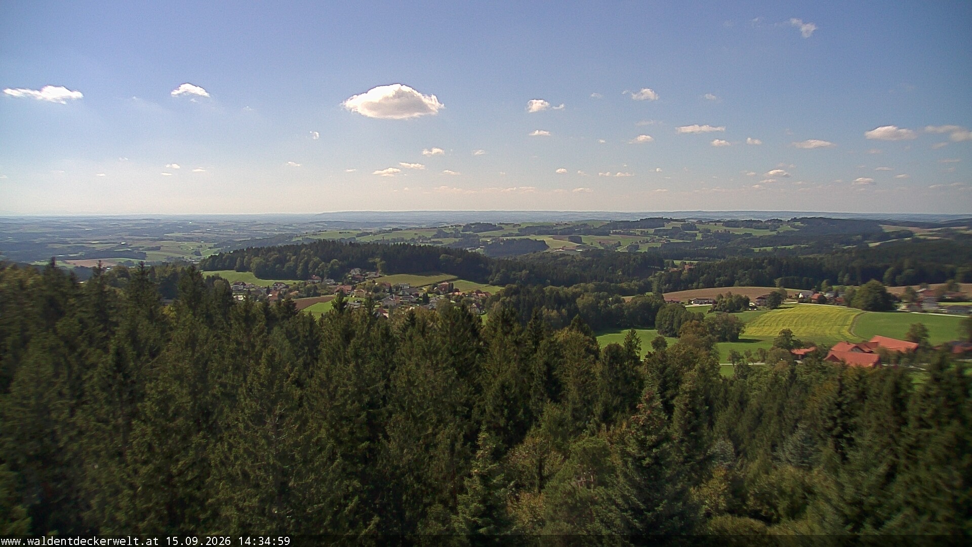 Archiv Foto Webcam Erlebnisturm Baumkronenweg Kopfing