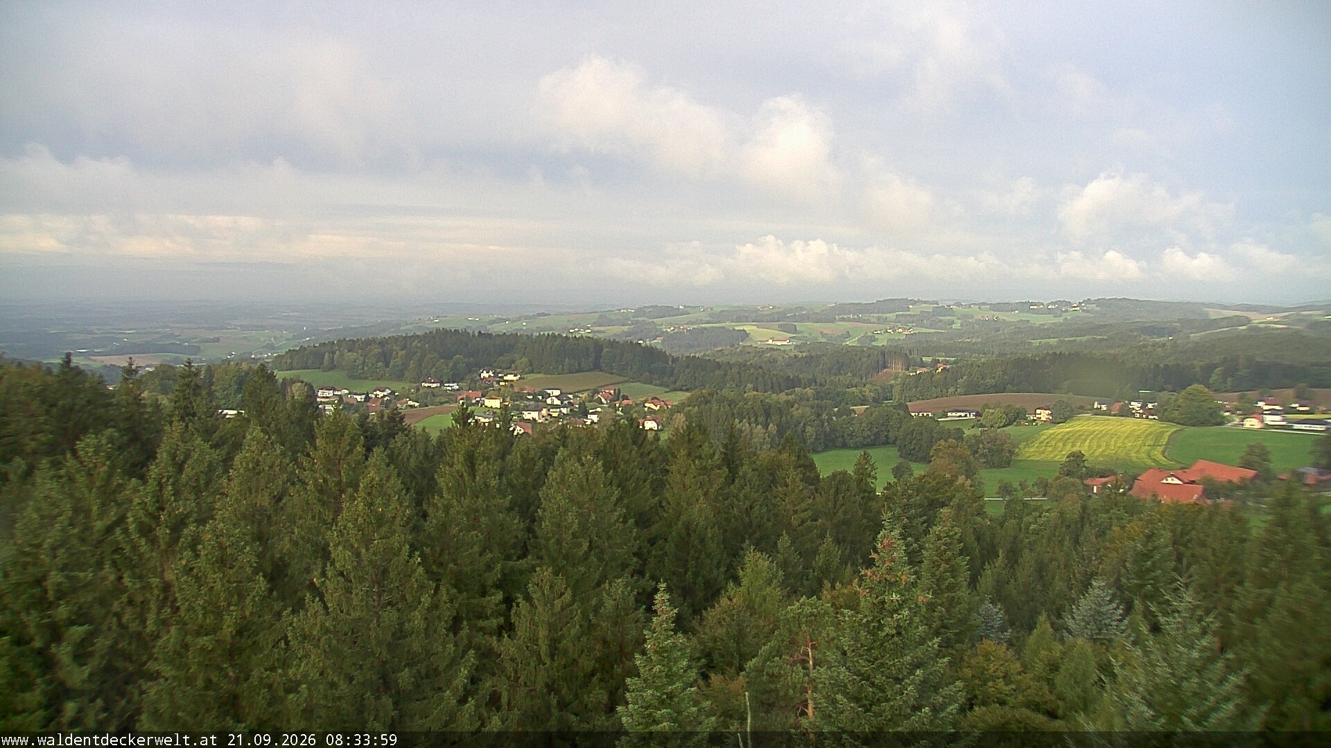 Archiv Foto Webcam Erlebnisturm Baumkronenweg Kopfing