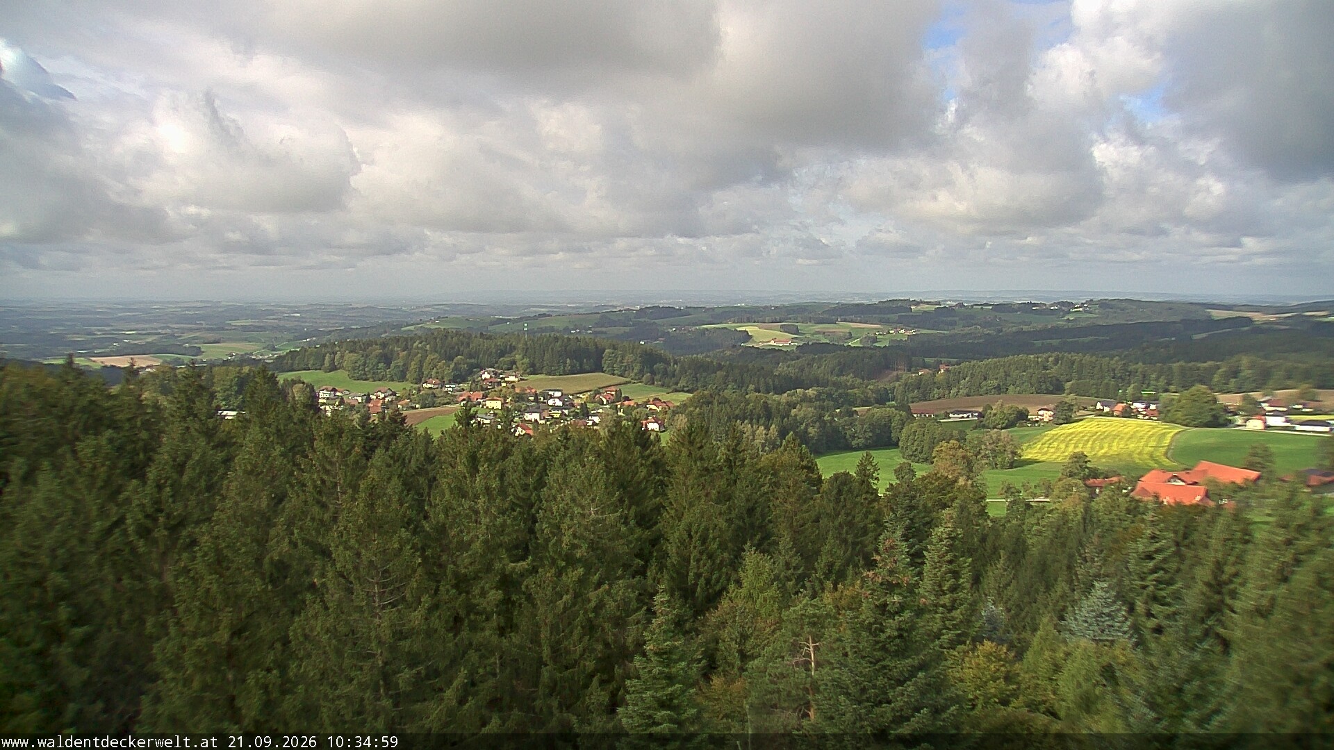 Archiv Foto Webcam Erlebnisturm Baumkronenweg Kopfing