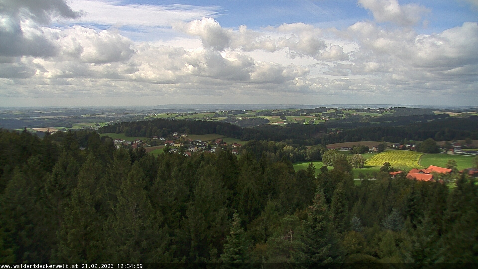 Archiv Foto Webcam Erlebnisturm Baumkronenweg Kopfing