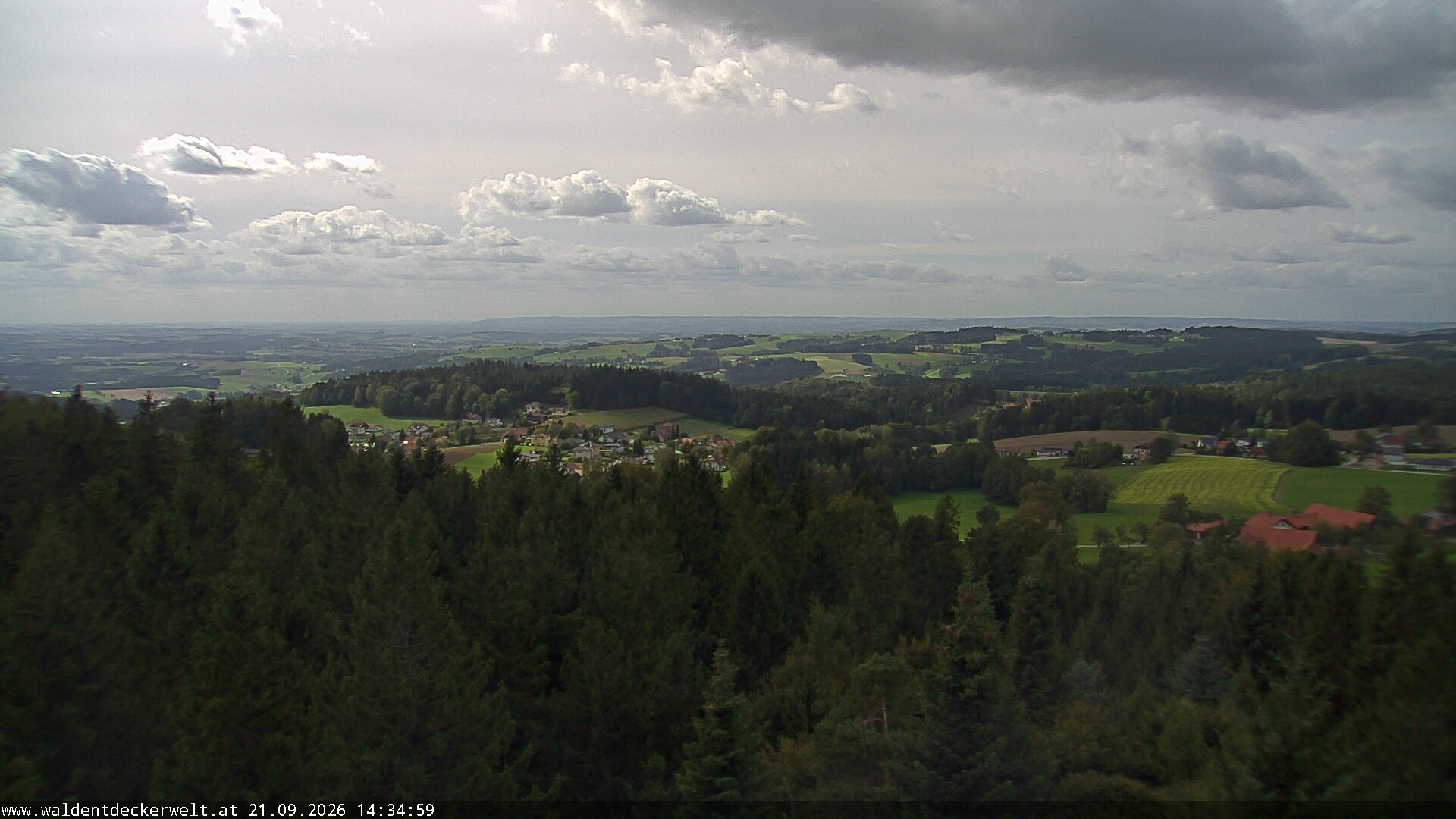 Archiv Foto Webcam Erlebnisturm Baumkronenweg Kopfing