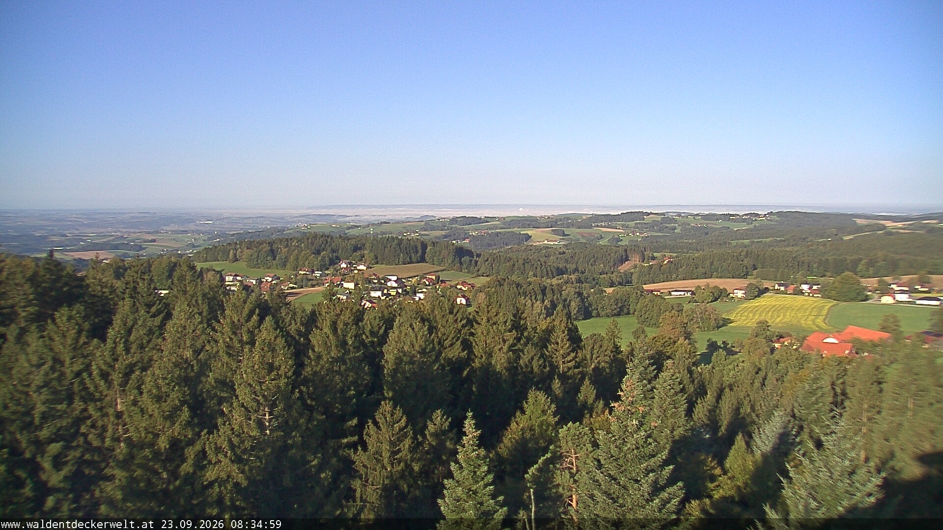 Archiv Foto Webcam Erlebnisturm Baumkronenweg Kopfing