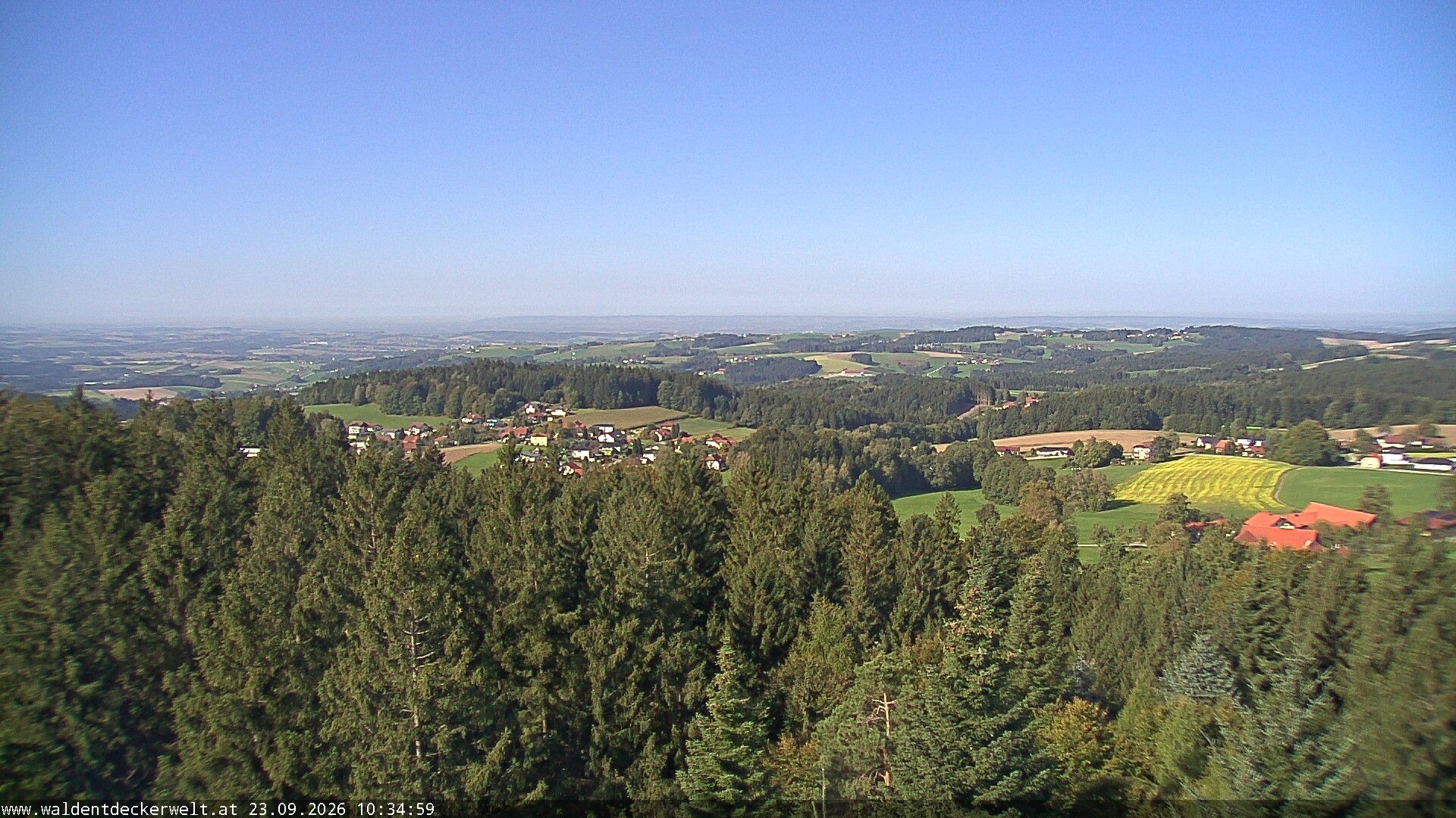 Archiv Foto Webcam Erlebnisturm Baumkronenweg Kopfing