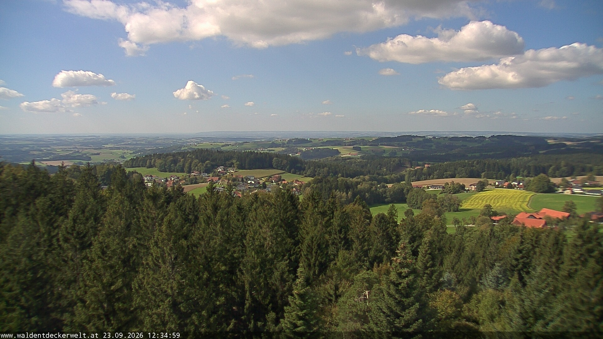 Archiv Foto Webcam Erlebnisturm Baumkronenweg Kopfing