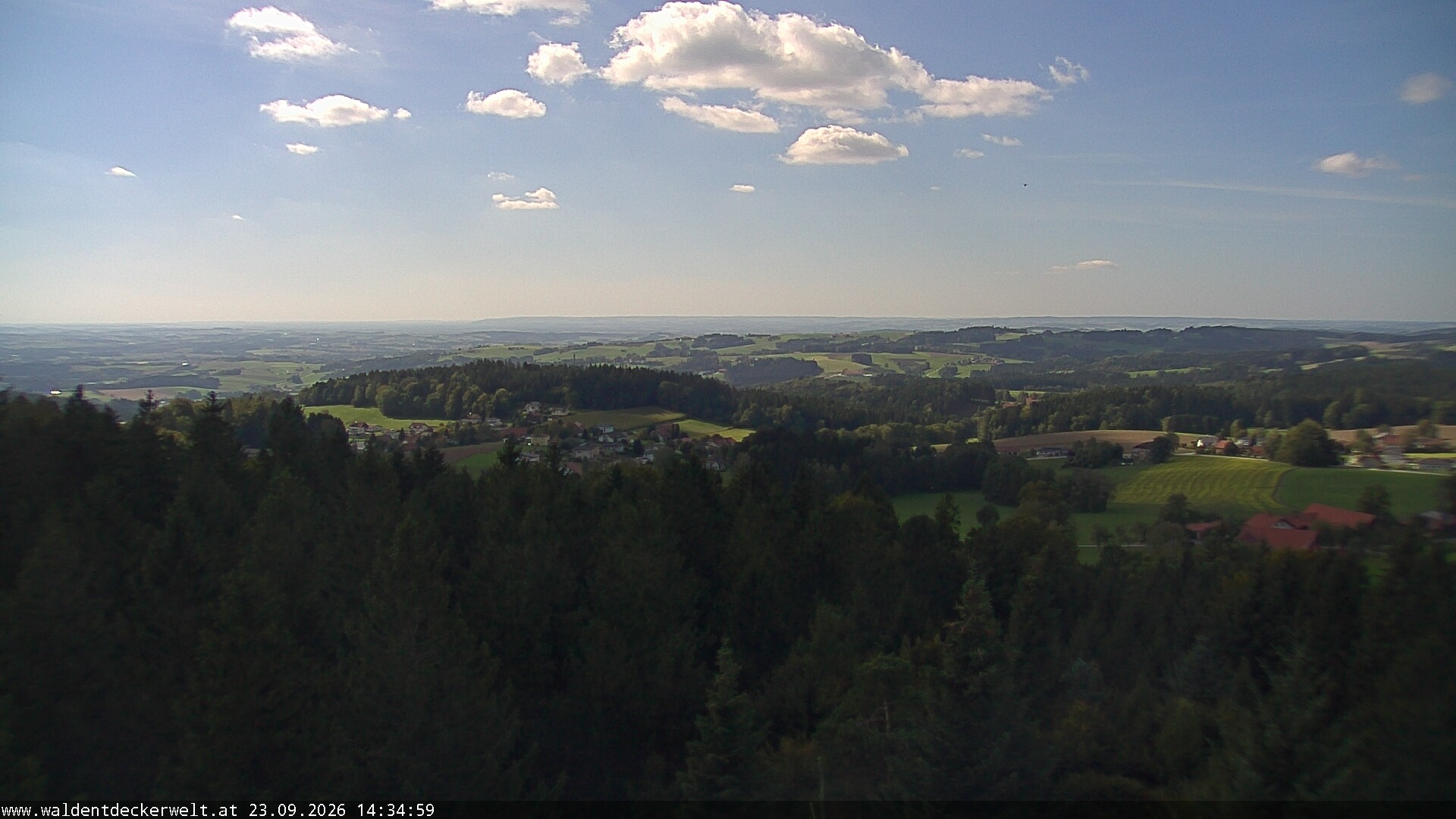 Archiv Foto Webcam Erlebnisturm Baumkronenweg Kopfing