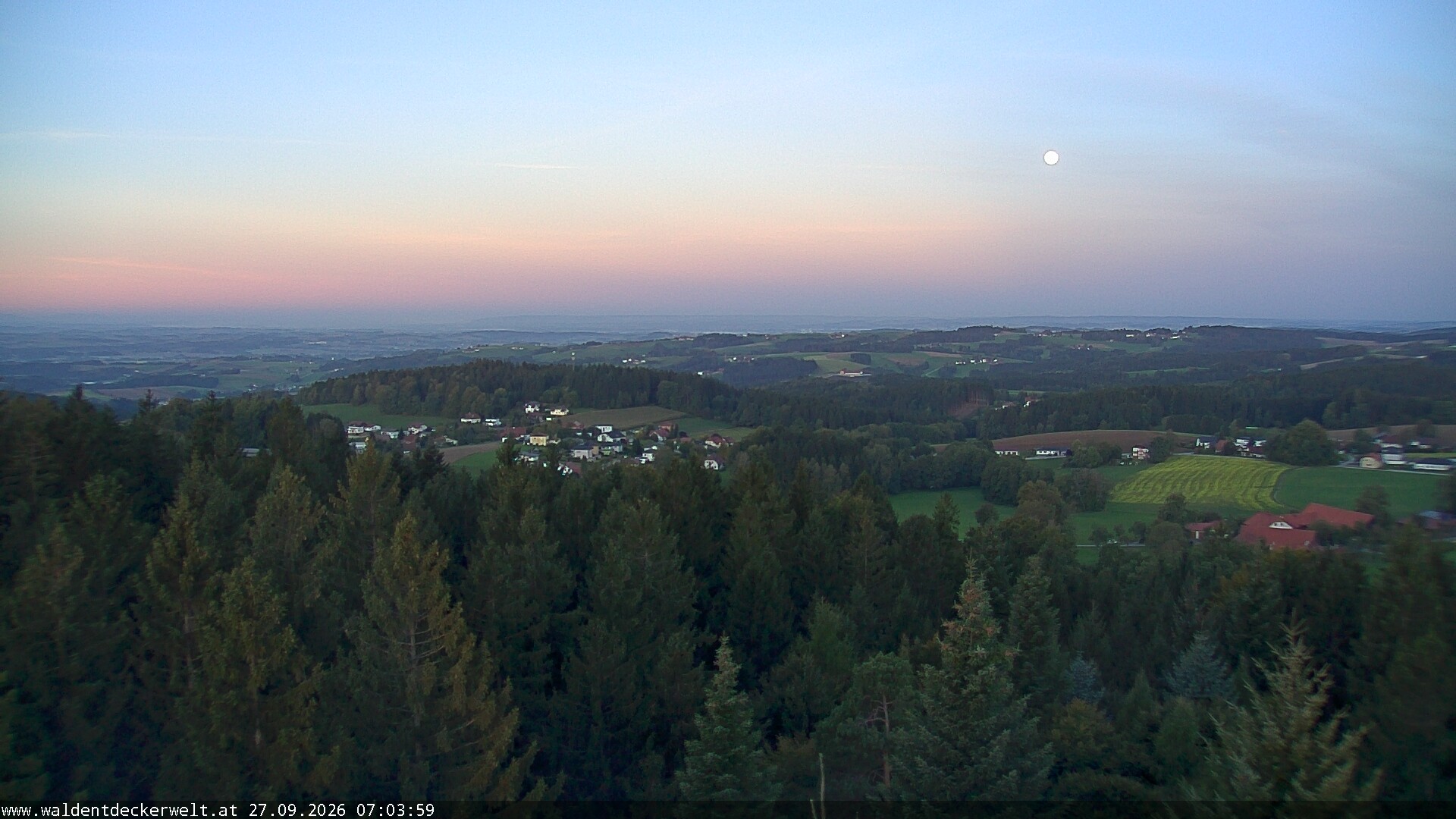 Archiv Foto Webcam Erlebnisturm Baumkronenweg Kopfing