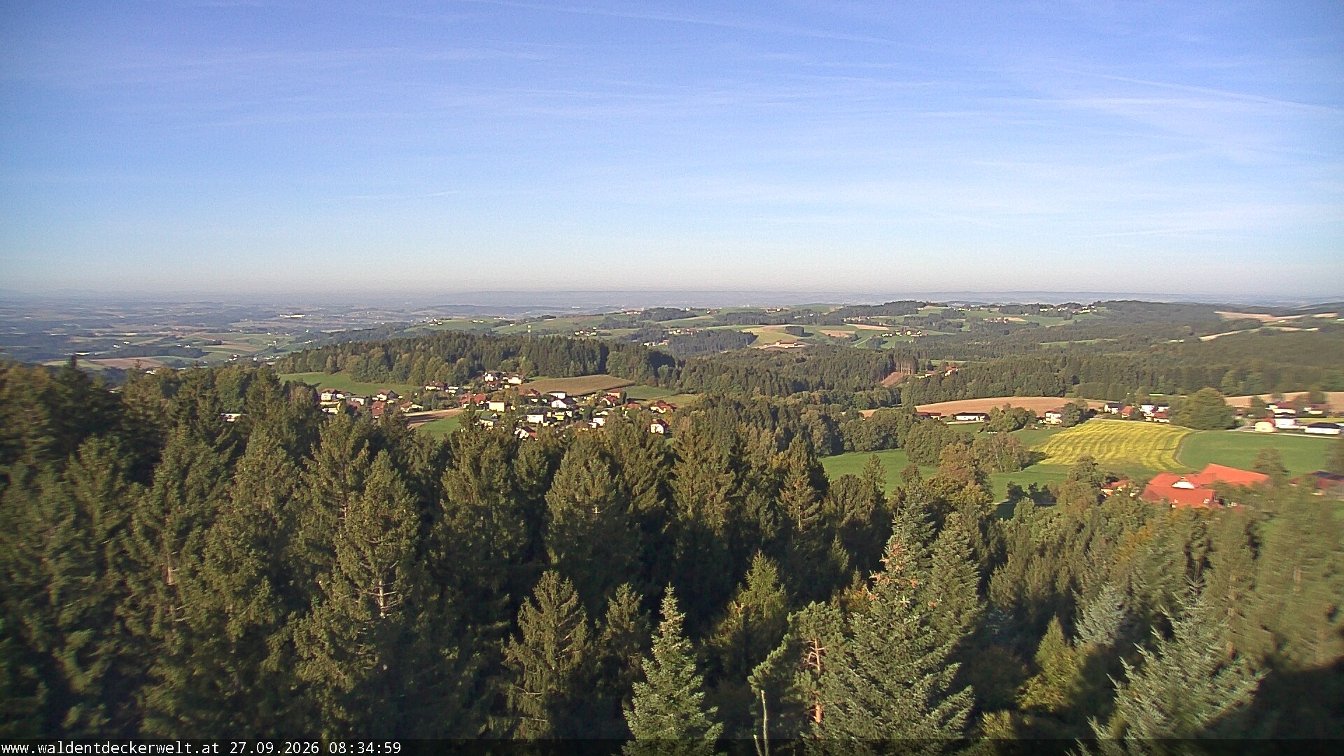 Archiv Foto Webcam Erlebnisturm Baumkronenweg Kopfing