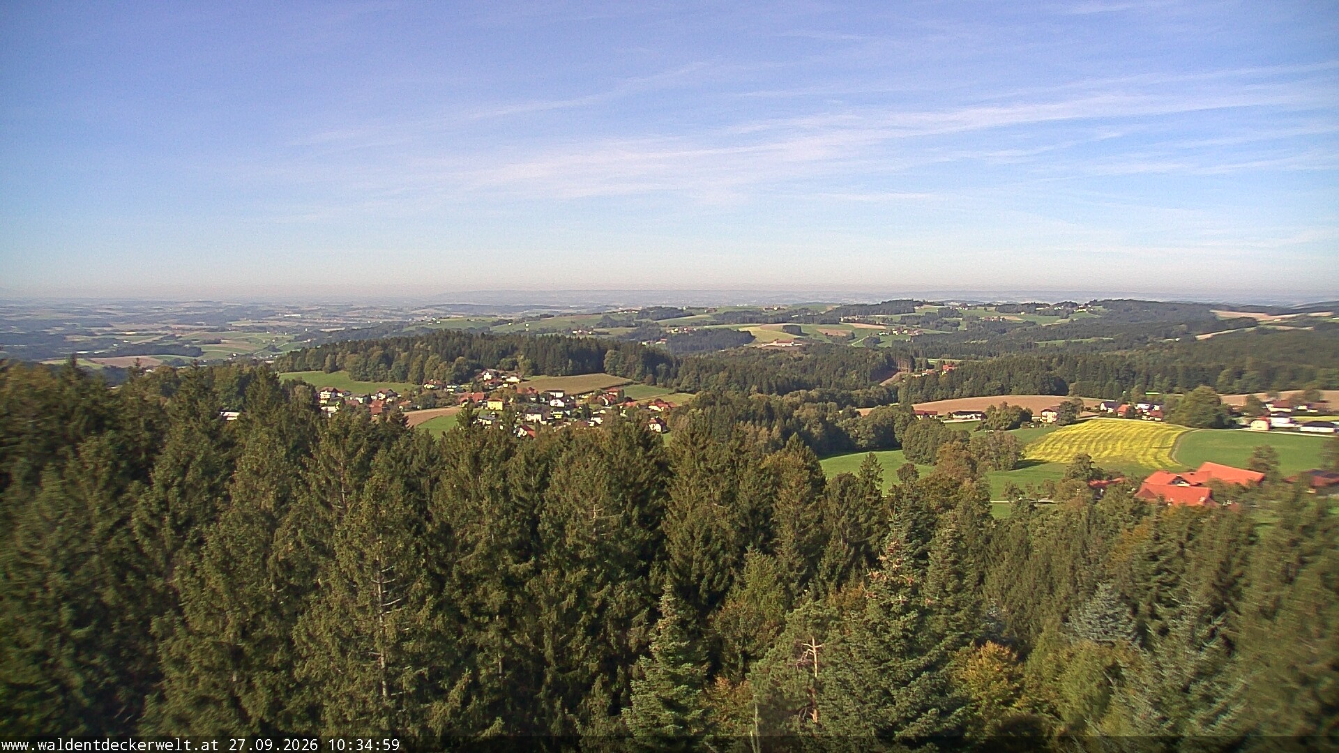 Archiv Foto Webcam Erlebnisturm Baumkronenweg Kopfing