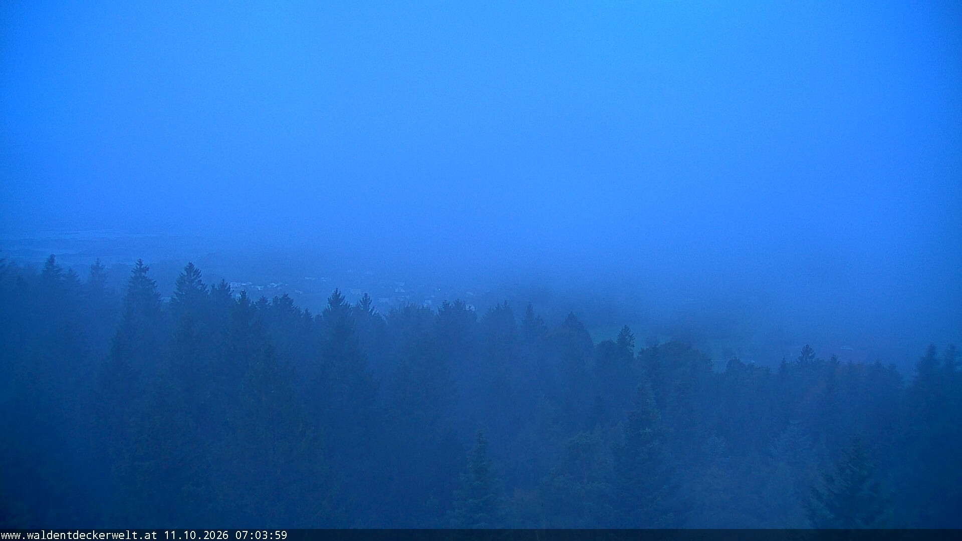 Archiv Foto Webcam Erlebnisturm Baumkronenweg Kopfing