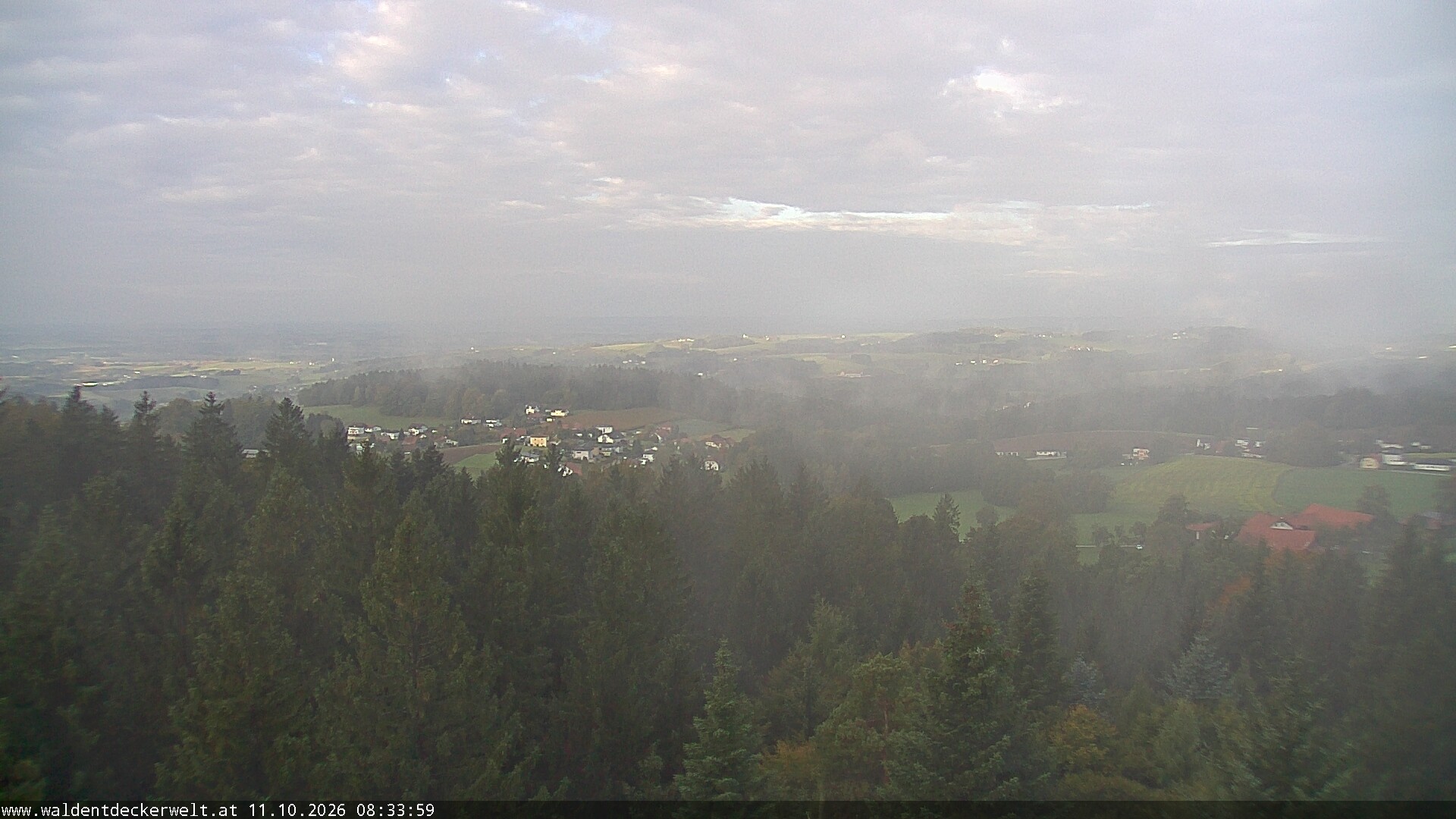 Archiv Foto Webcam Erlebnisturm Baumkronenweg Kopfing