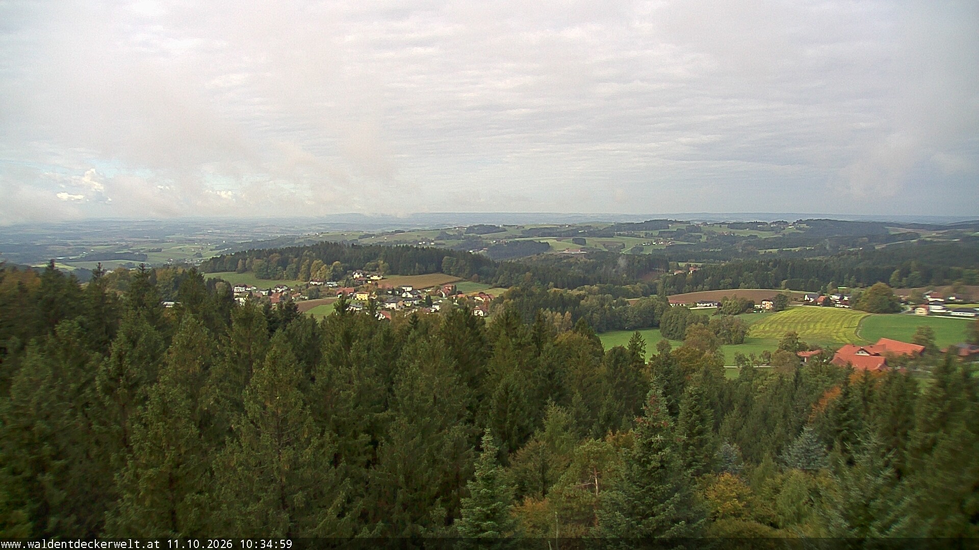 Archiv Foto Webcam Erlebnisturm Baumkronenweg Kopfing