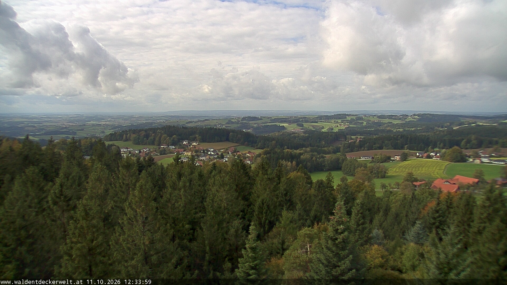 Archiv Foto Webcam Erlebnisturm Baumkronenweg Kopfing