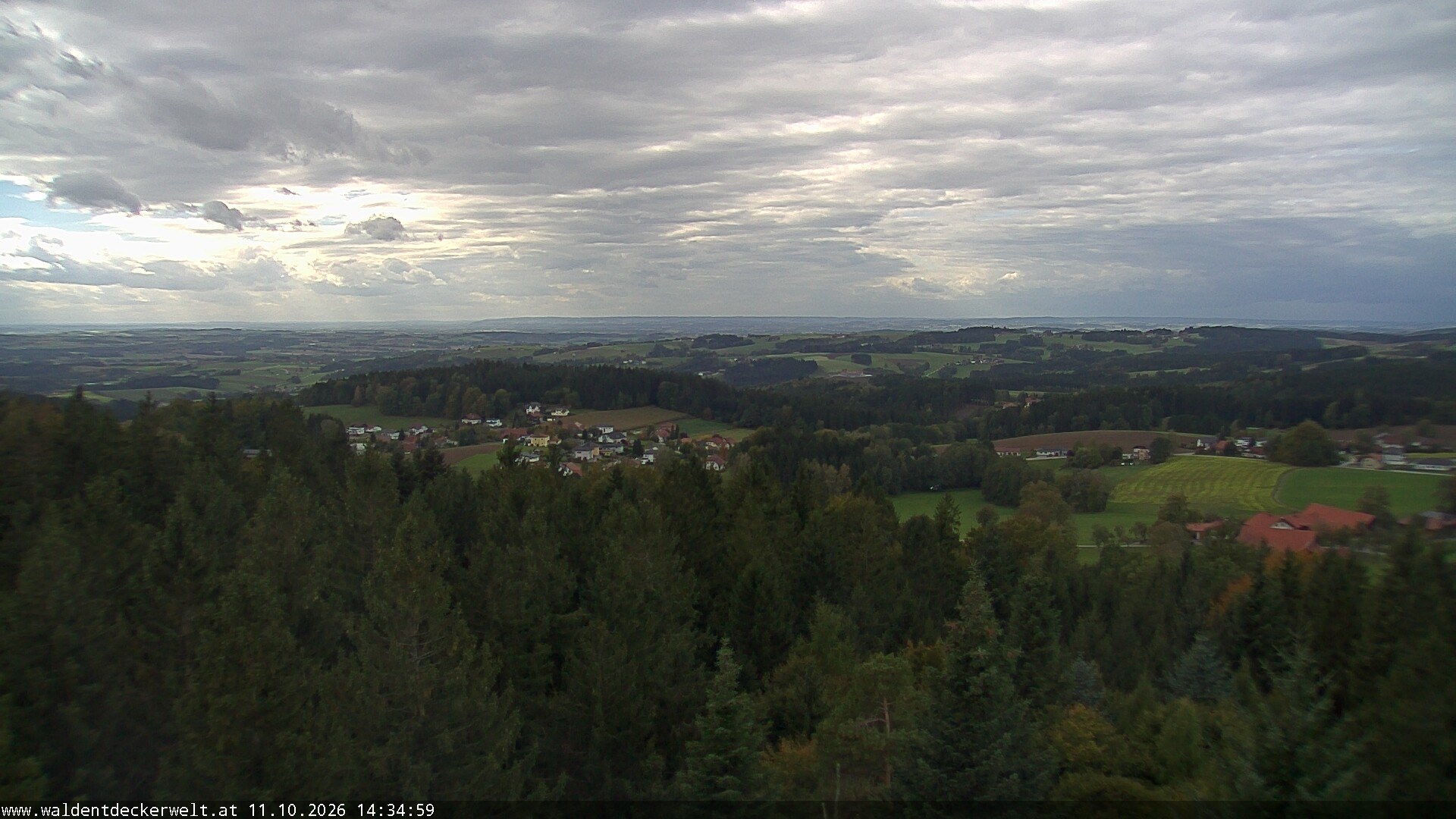 Archiv Foto Webcam Erlebnisturm Baumkronenweg Kopfing