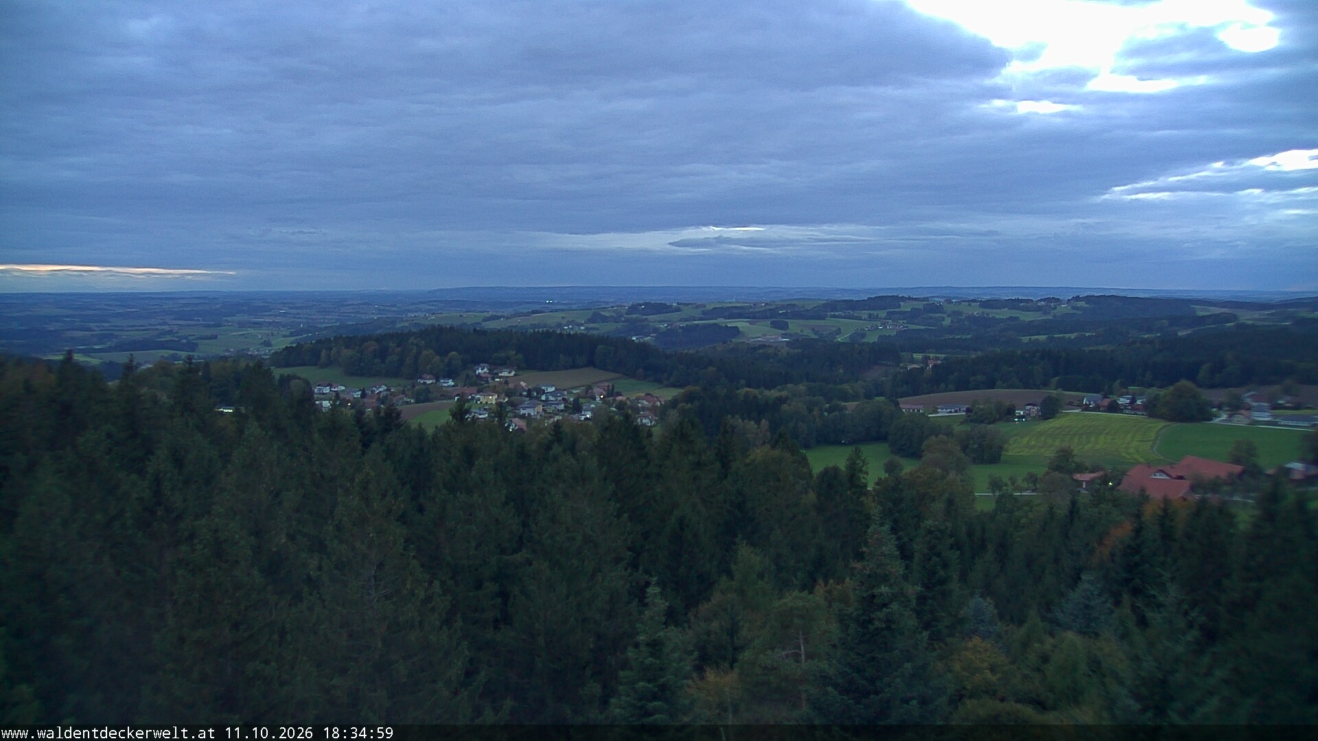Archiv Foto Webcam Erlebnisturm Baumkronenweg Kopfing