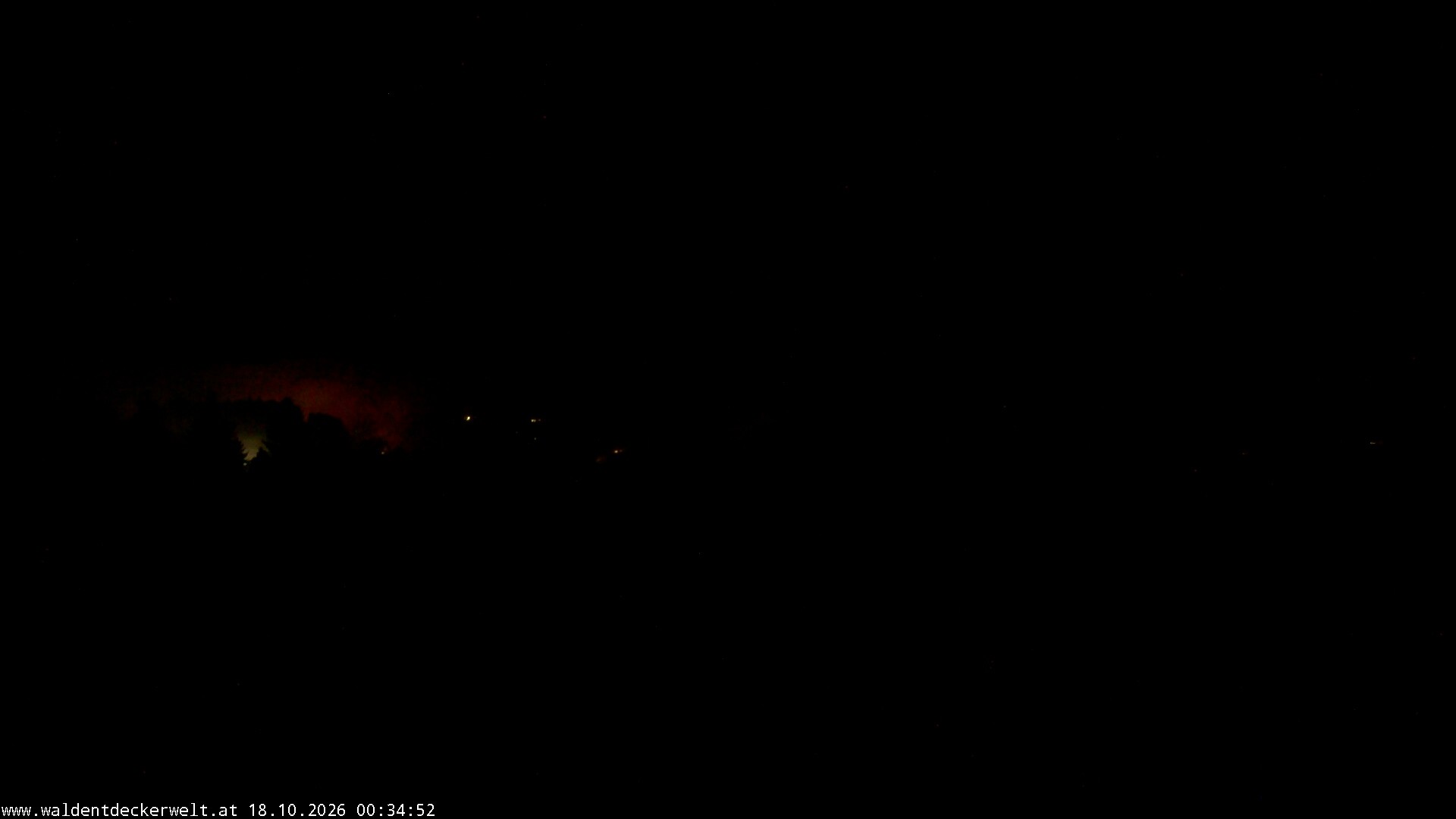 Archiv Foto Webcam Erlebnisturm Baumkronenweg Kopfing